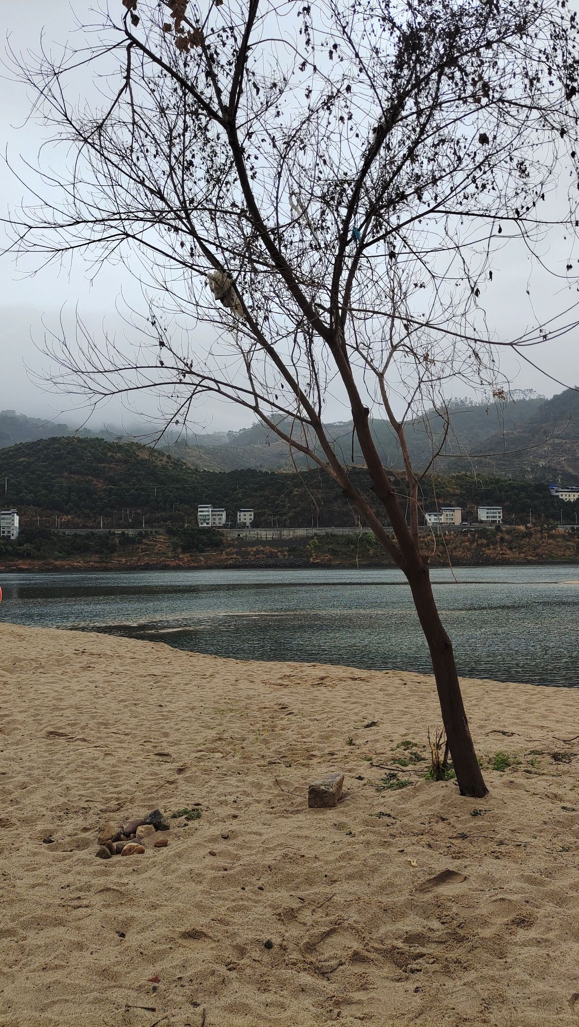 梅埔沙滩旅行图片 3