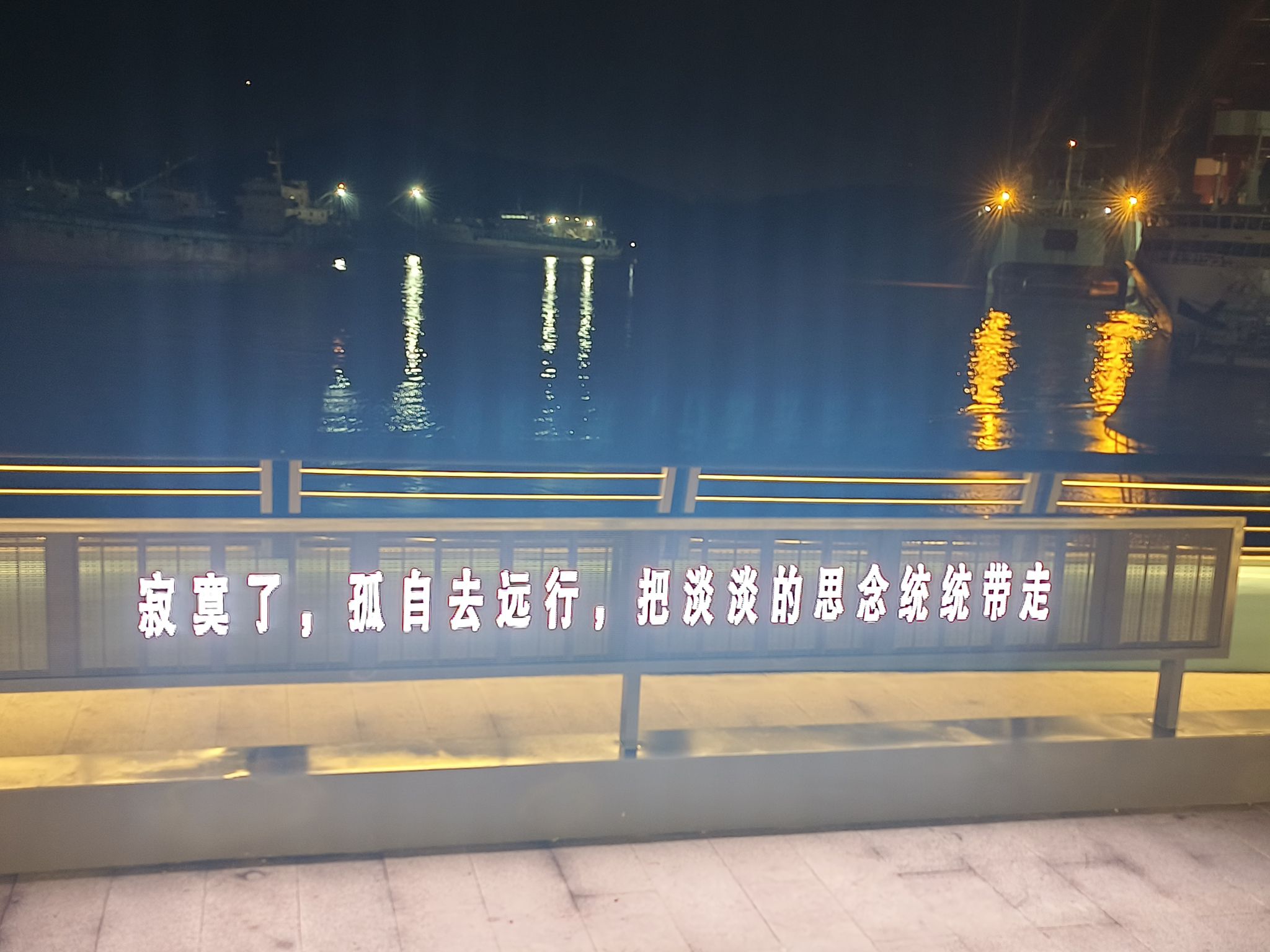 定海湾公园旅行图片 1