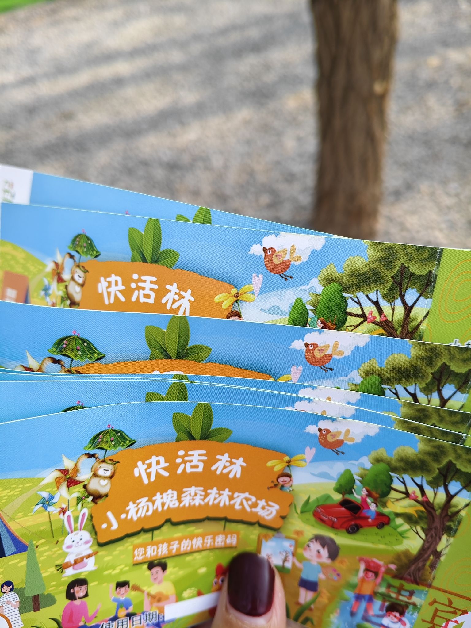 小杨槐森林农场旅行图片 1