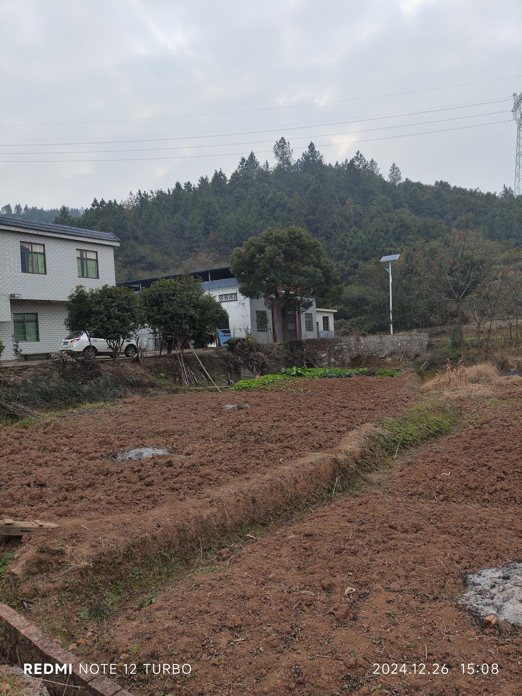 雷氏株公厅旅行图片 1