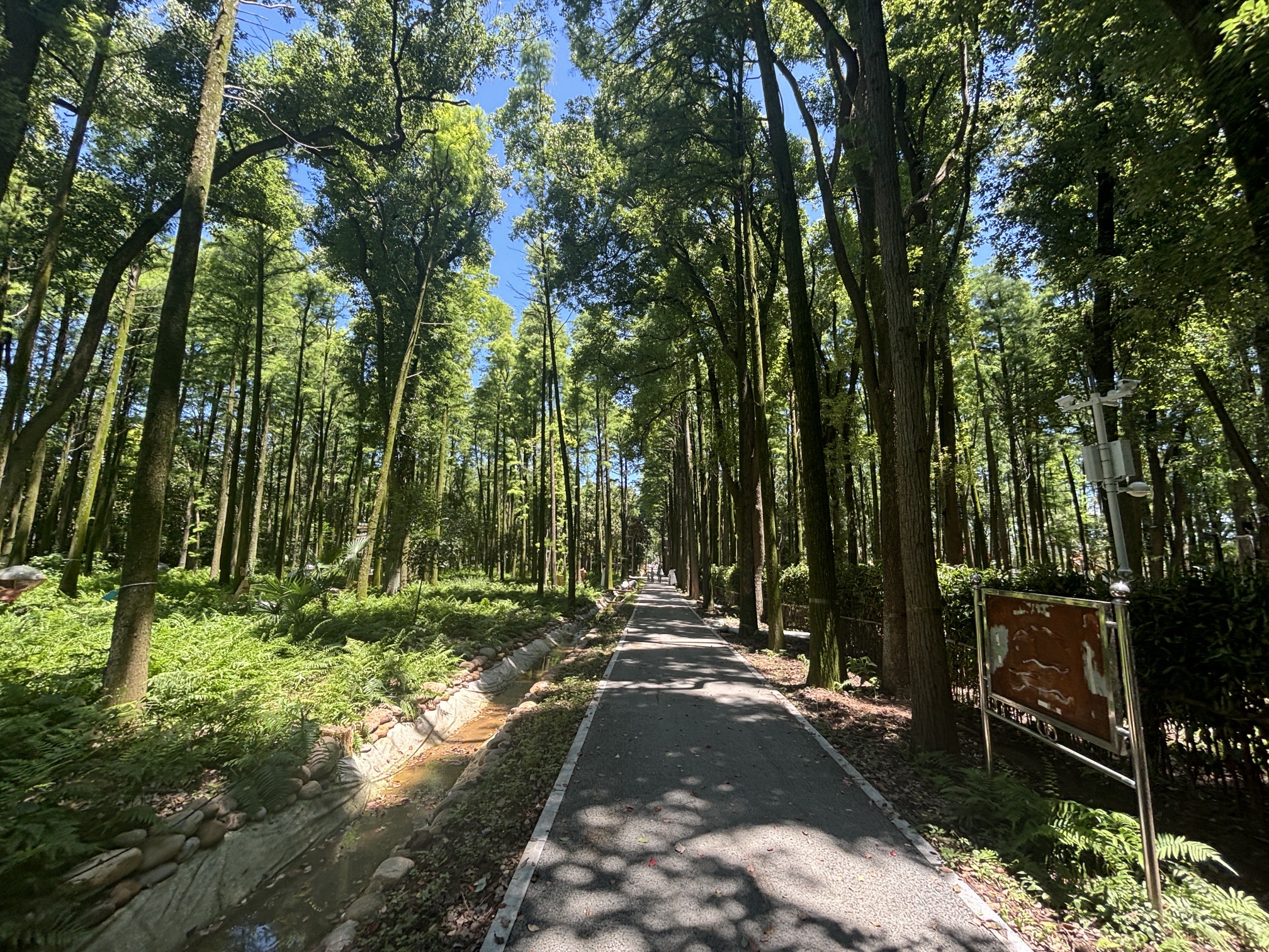 岳阳鸟语林生态旅游度假区