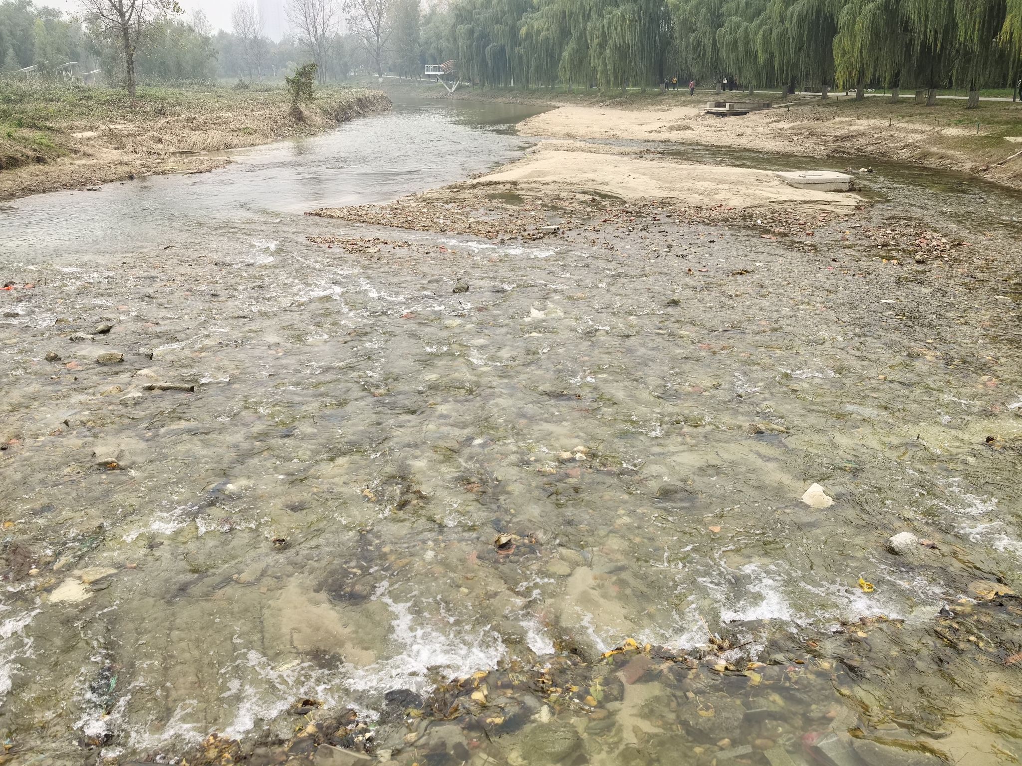 场地封面-樊川公园-露营地
