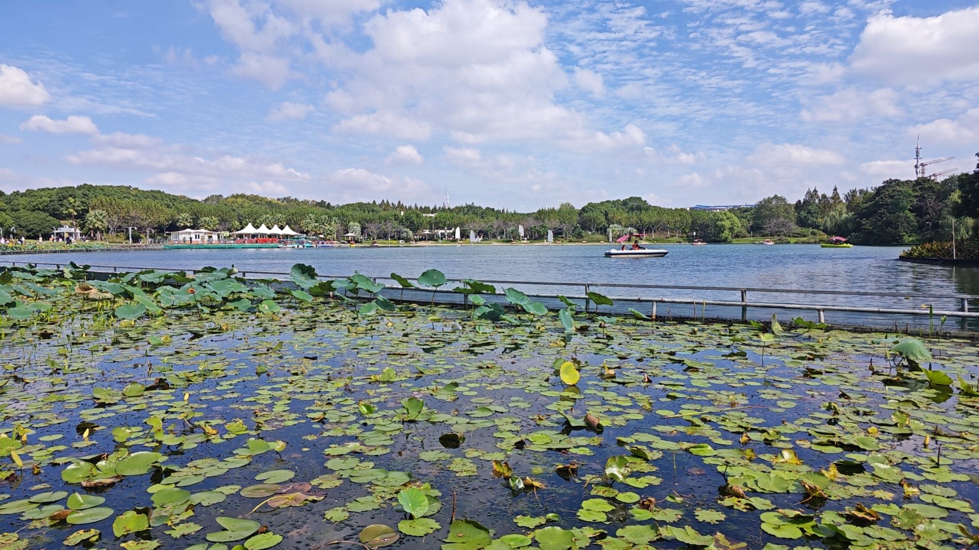 场地封面-闵行体育公园儿童乐园