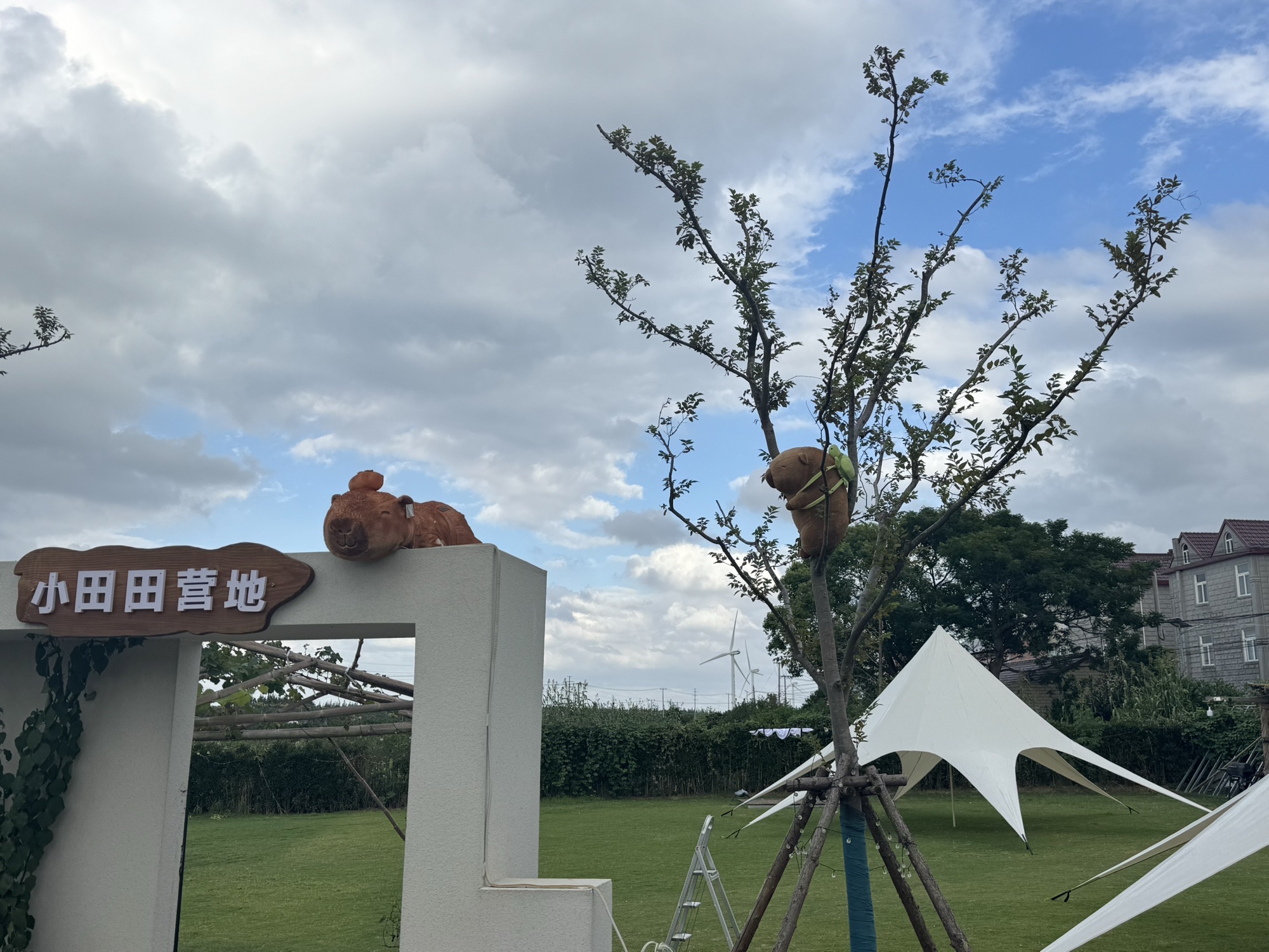 场地封面-小田田自然营地