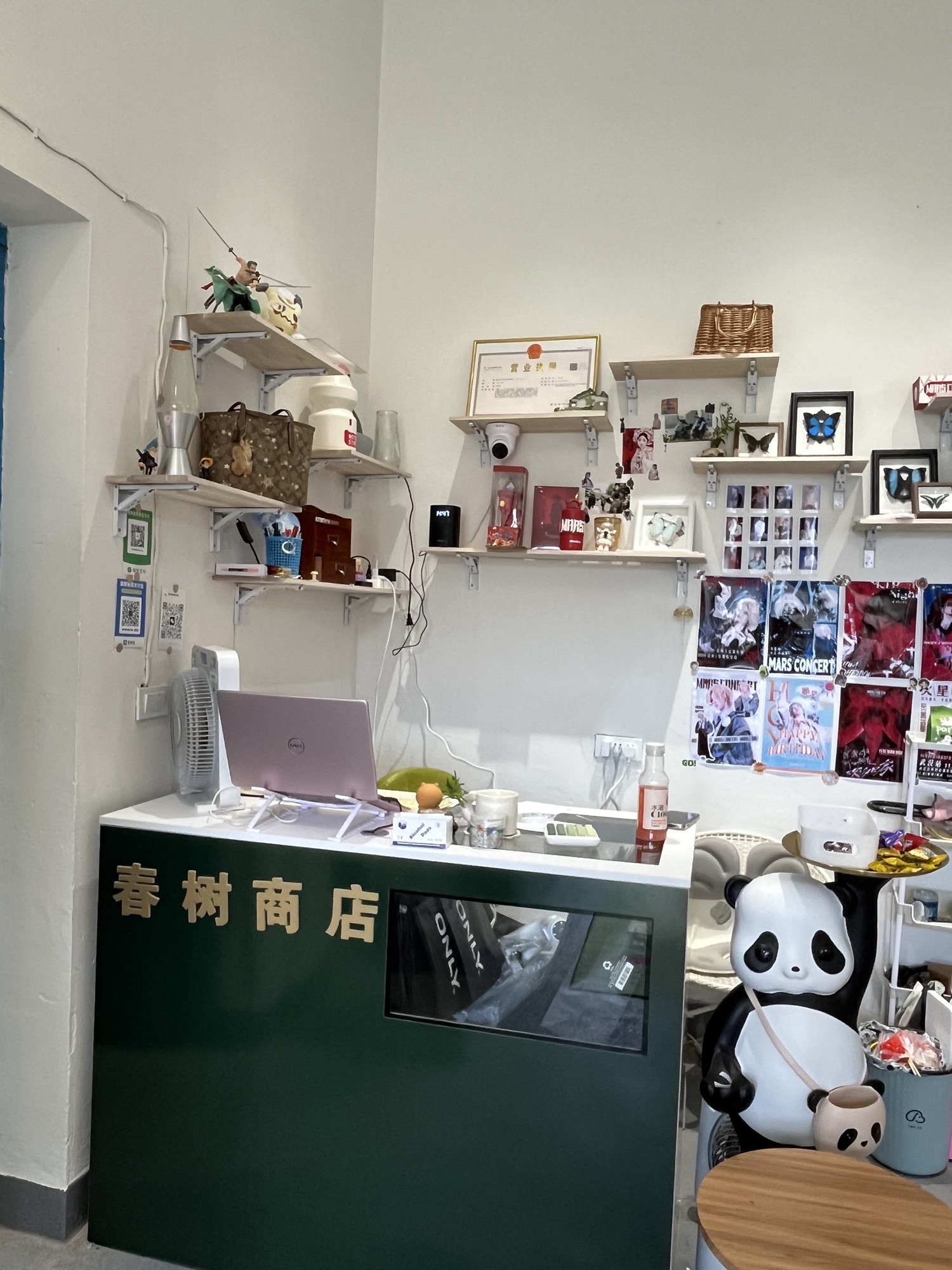 春树商店