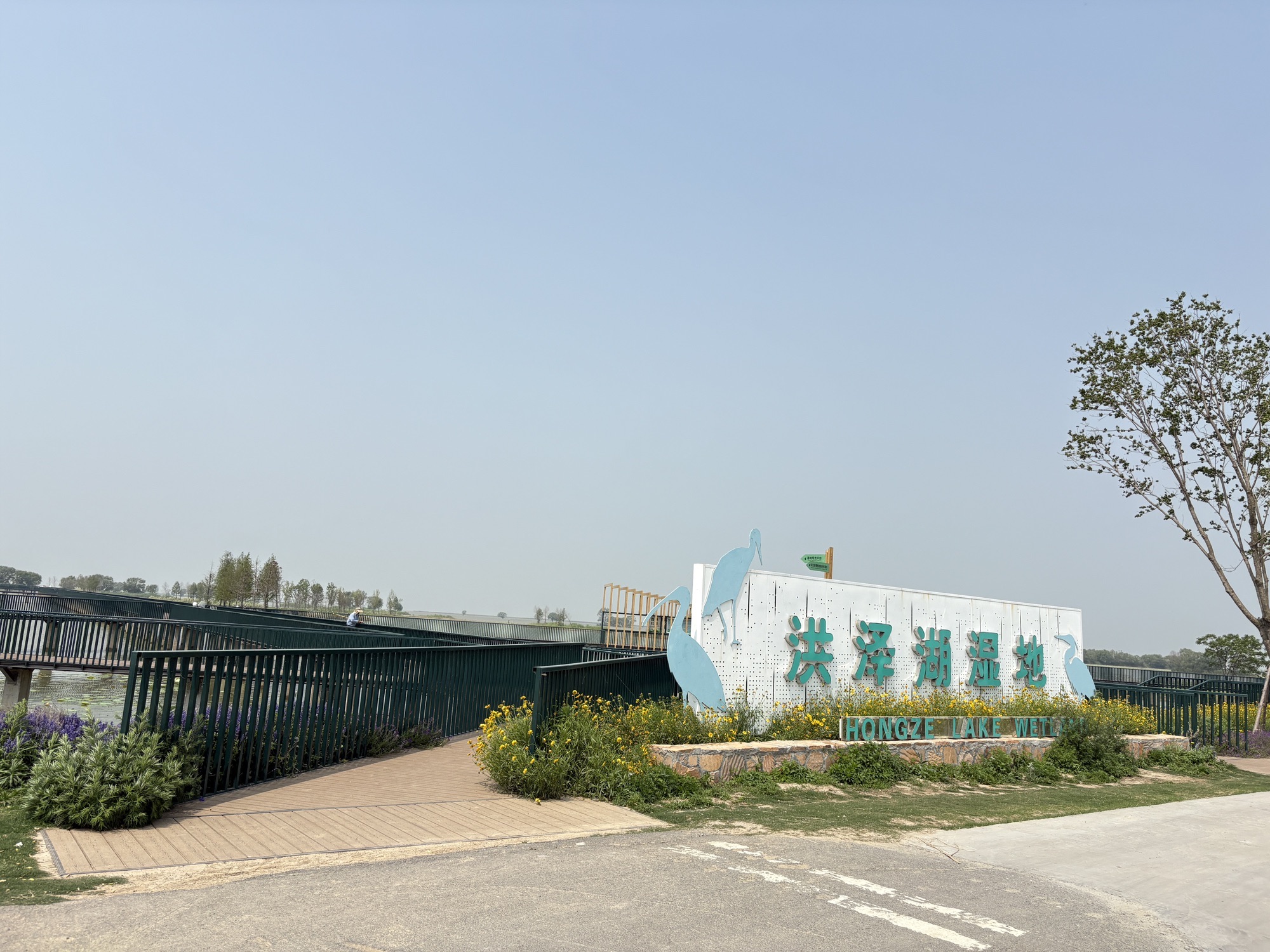 西顺河洪泽湖湿地公园