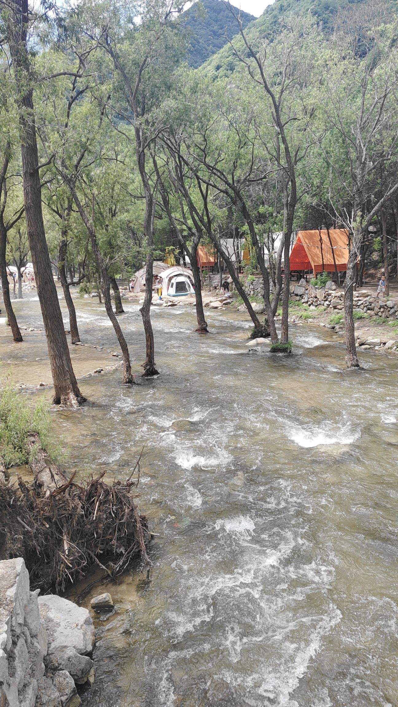 水林涧露营 - 十三陵镇便民圈栖邻生活圈休闲服务服务点实景照片