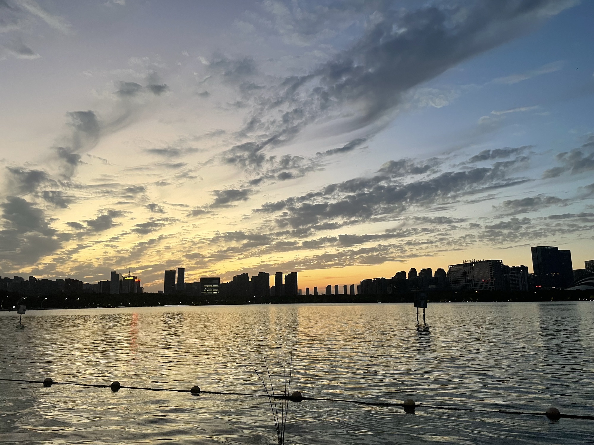 天鹅湖公园旅行图片 1