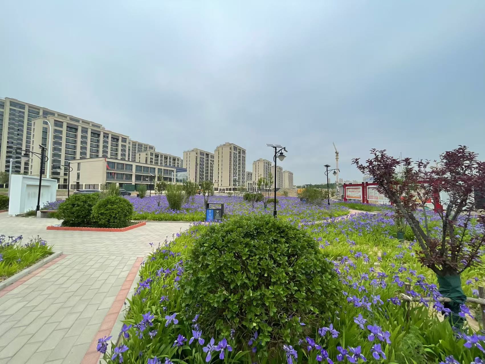 窄坡廉洁主题公园