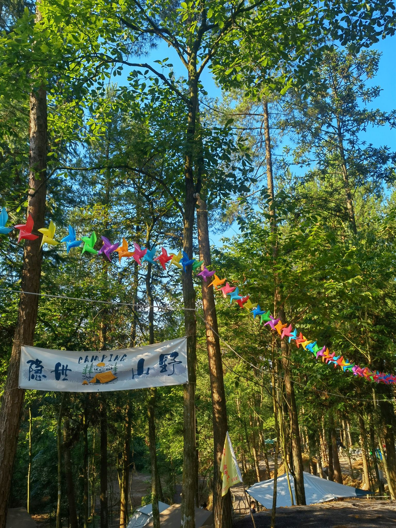 场地封面-溪林云梦露营基地