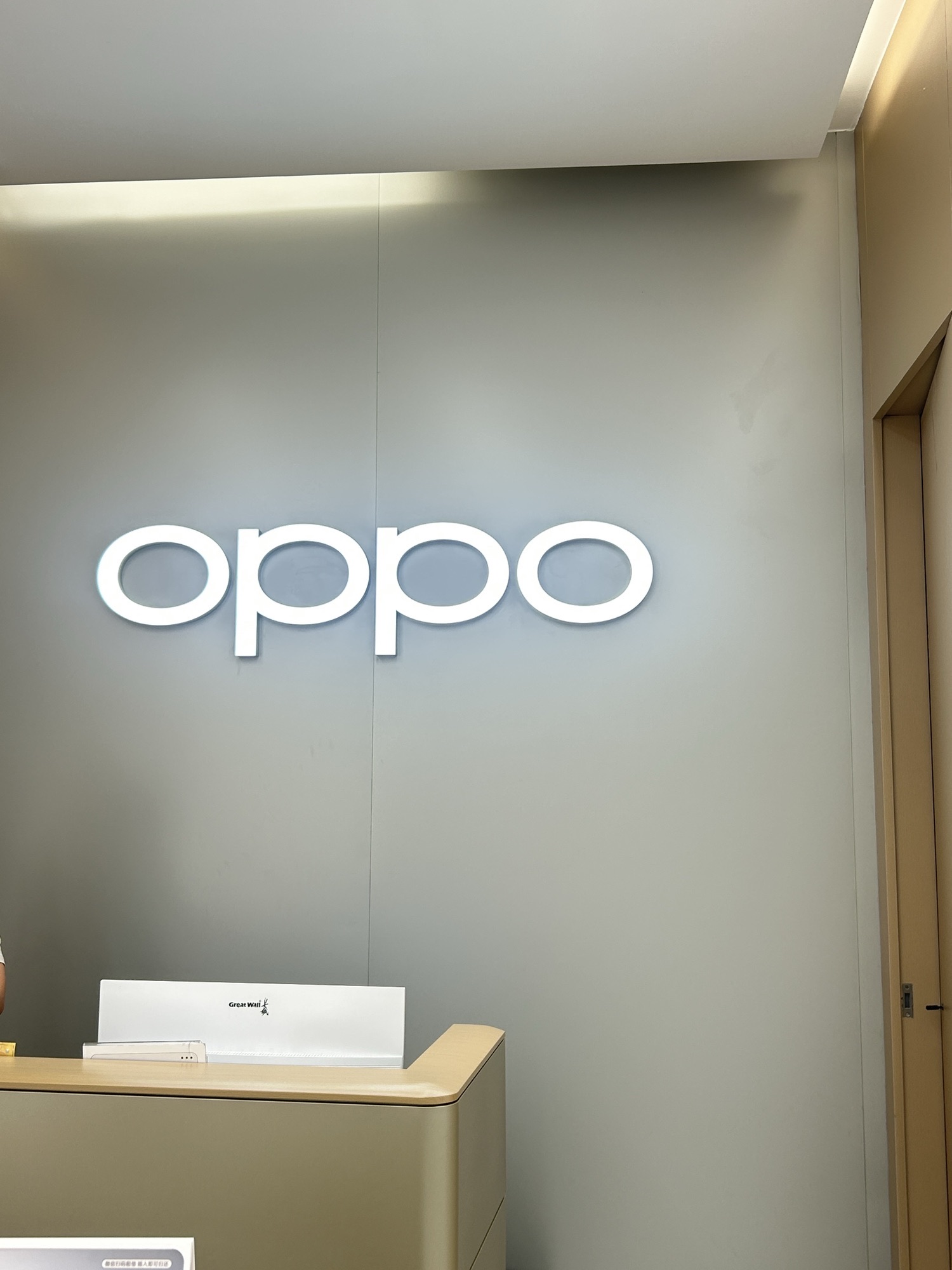 OPPO官方授权体验店(咸宁咸安区温泉路店)