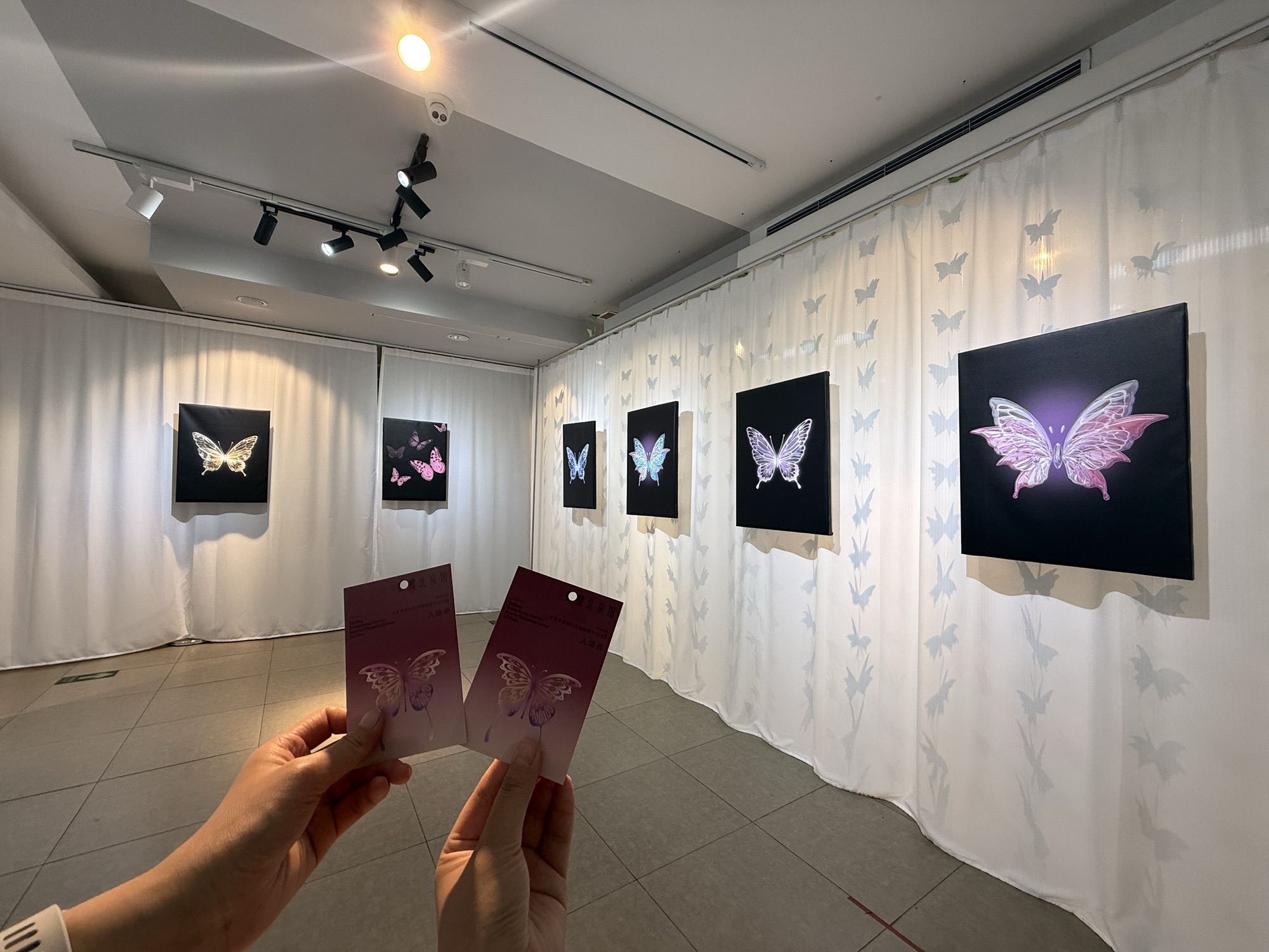 蝴蝶·北京展
