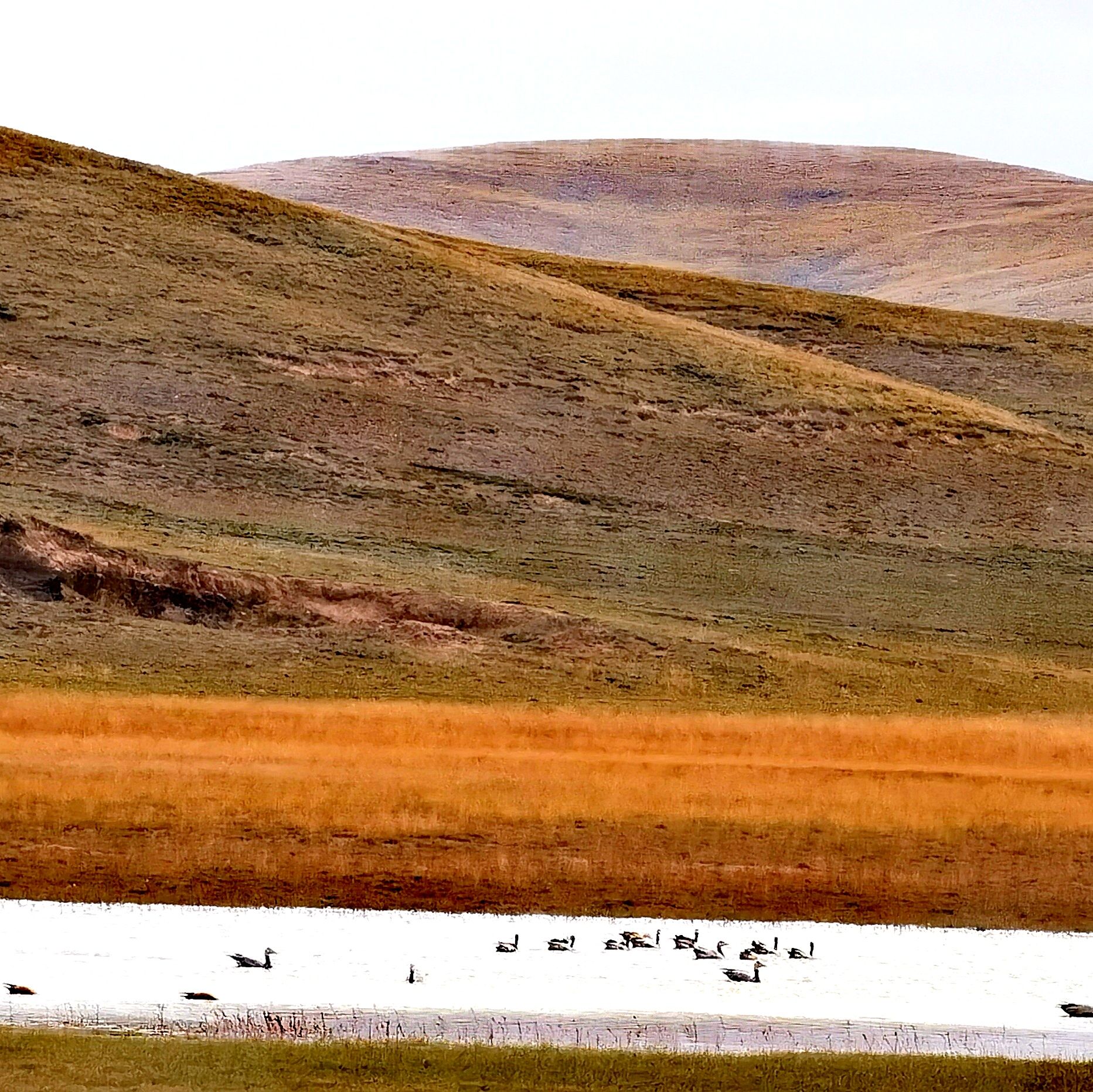 三江源国家公园黄河源园区