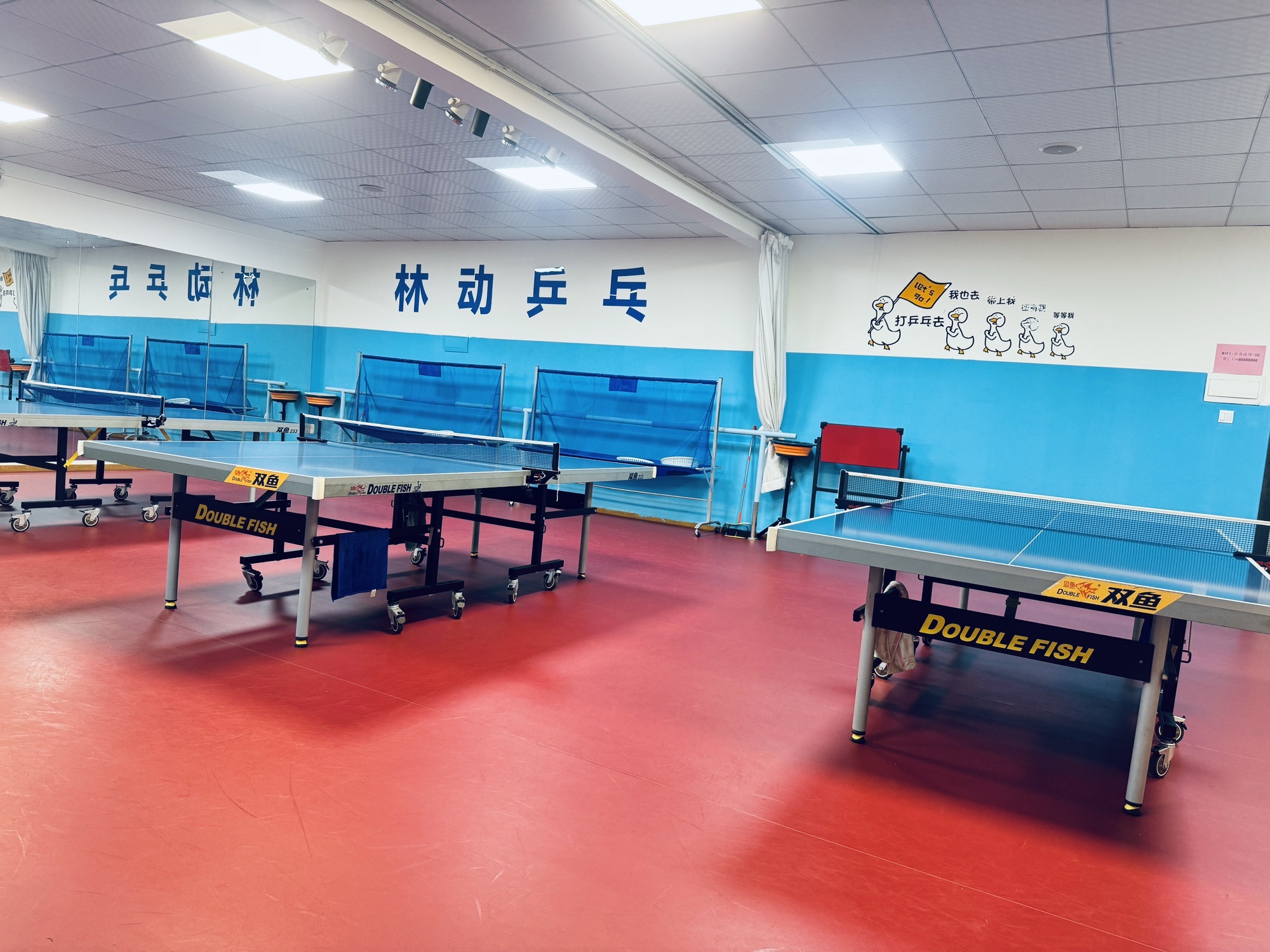 场地封面-林动乒乓球馆