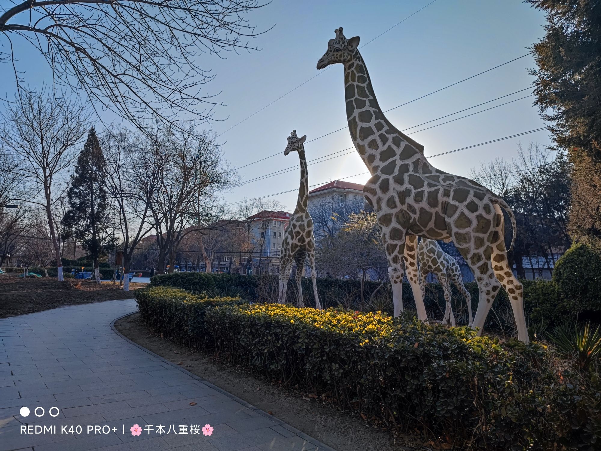 永丰渠公园旅行图片 2