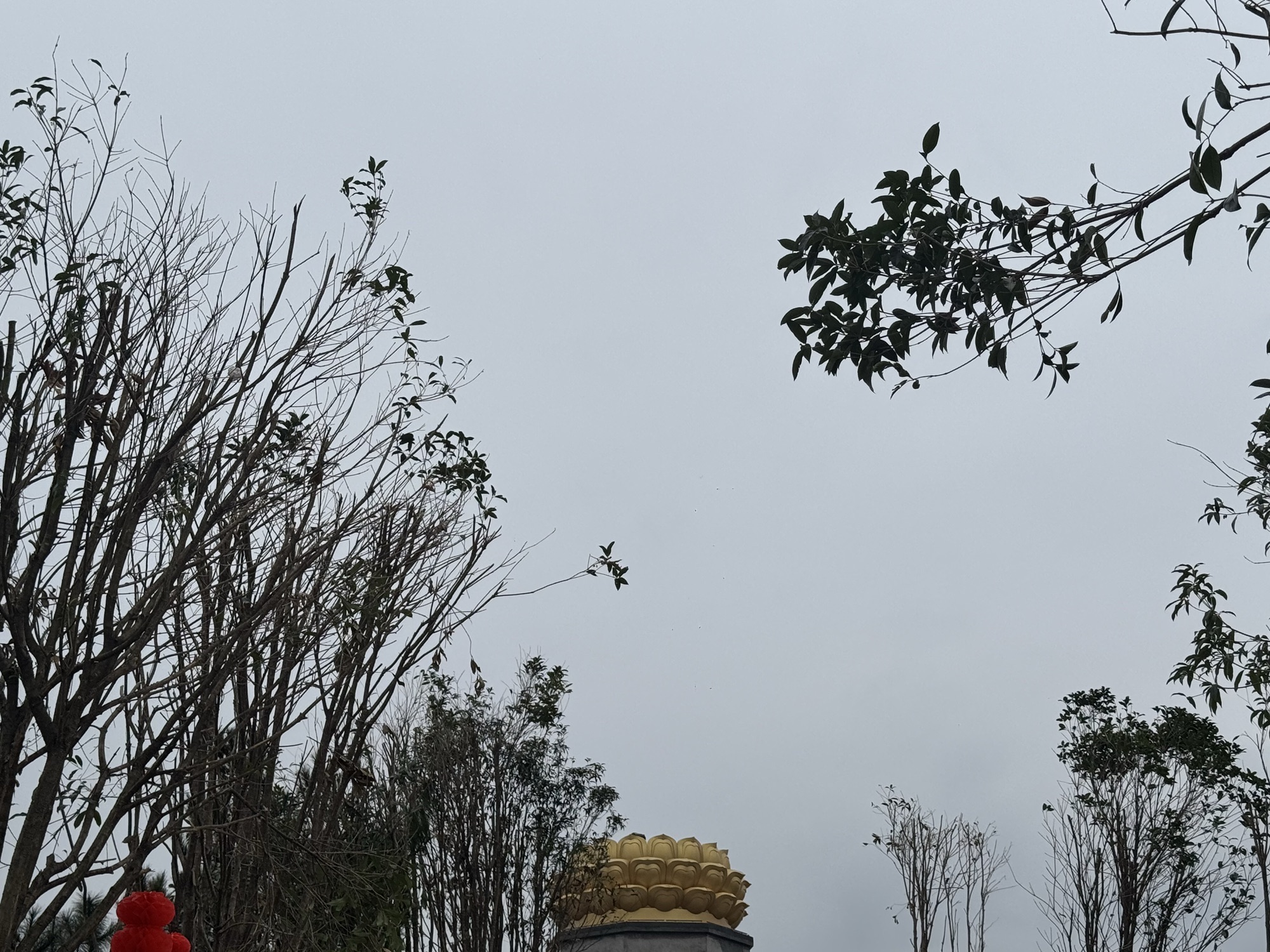 南岳山莲花塔愿旅行图片 2
