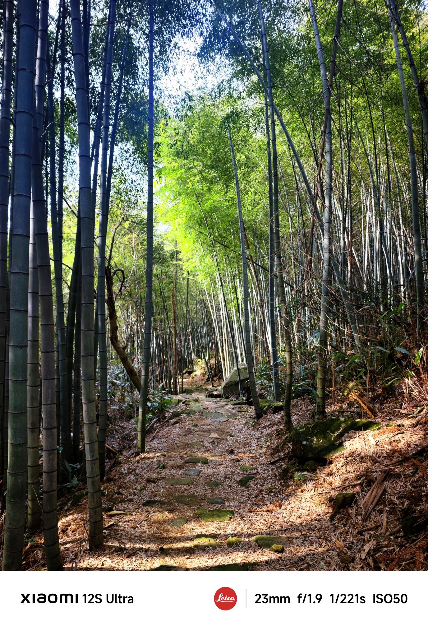 羊角岭古道旅行图片 2