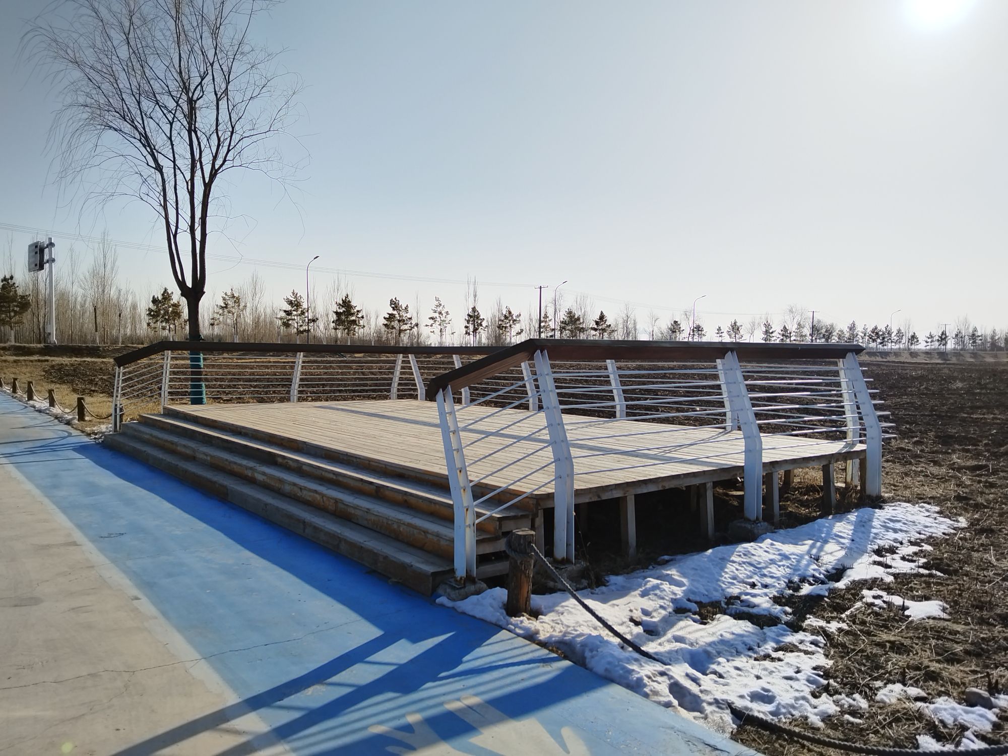 格桑花海(大黑河郊野公园)旅行图片 3