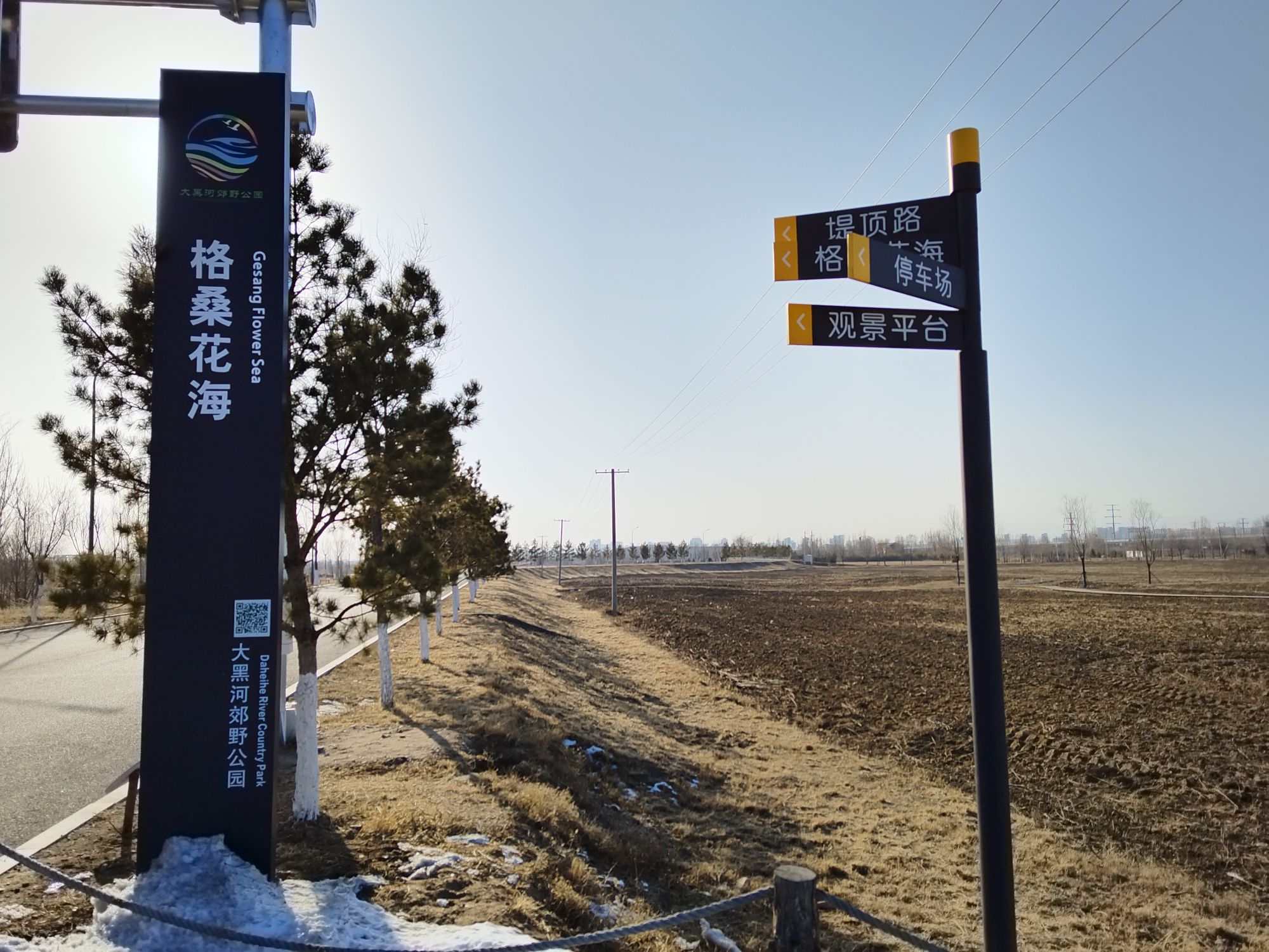 格桑花海(大黑河郊野公园)旅行图片 2