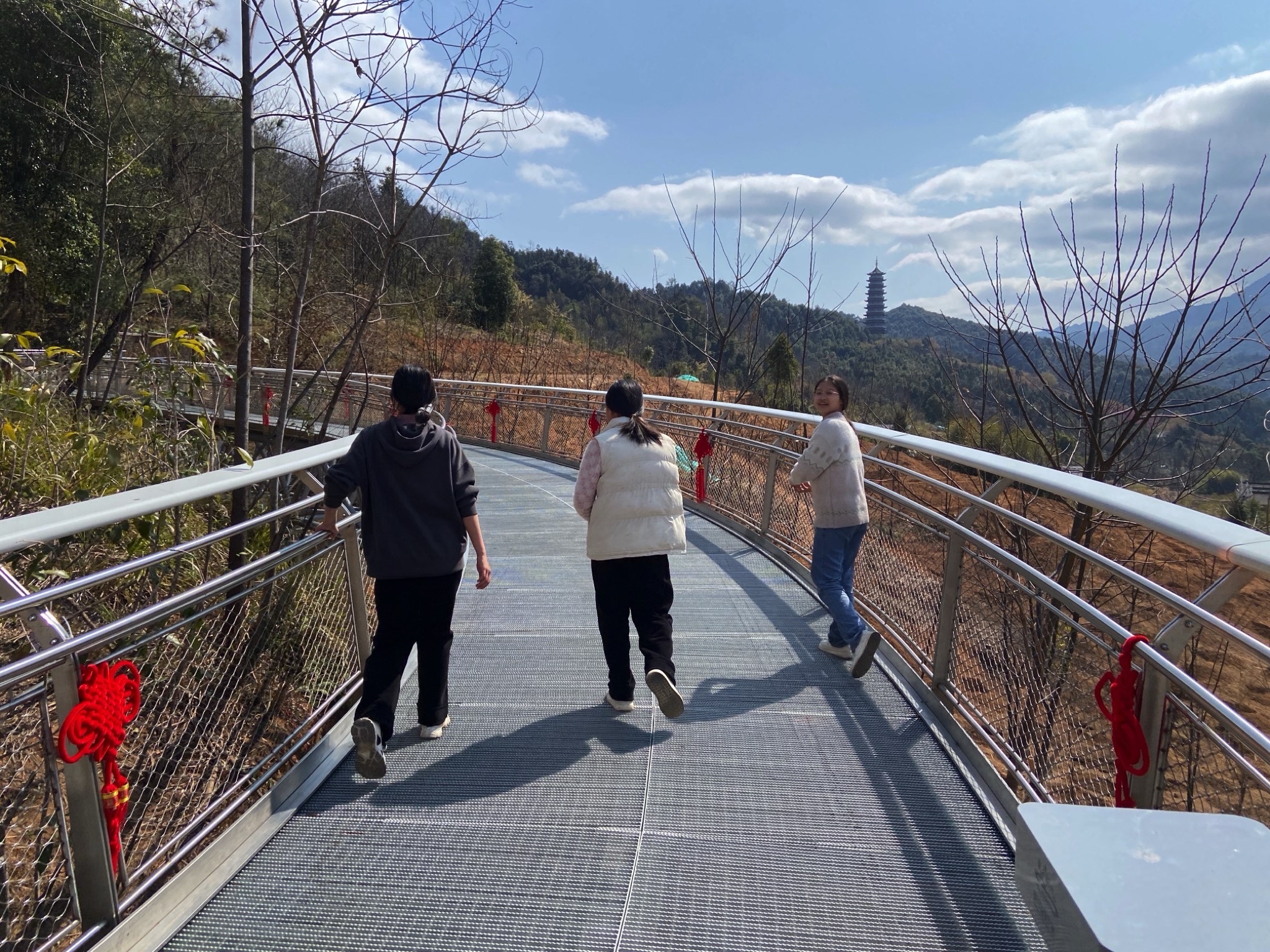 城市森林空间旅行图片 1