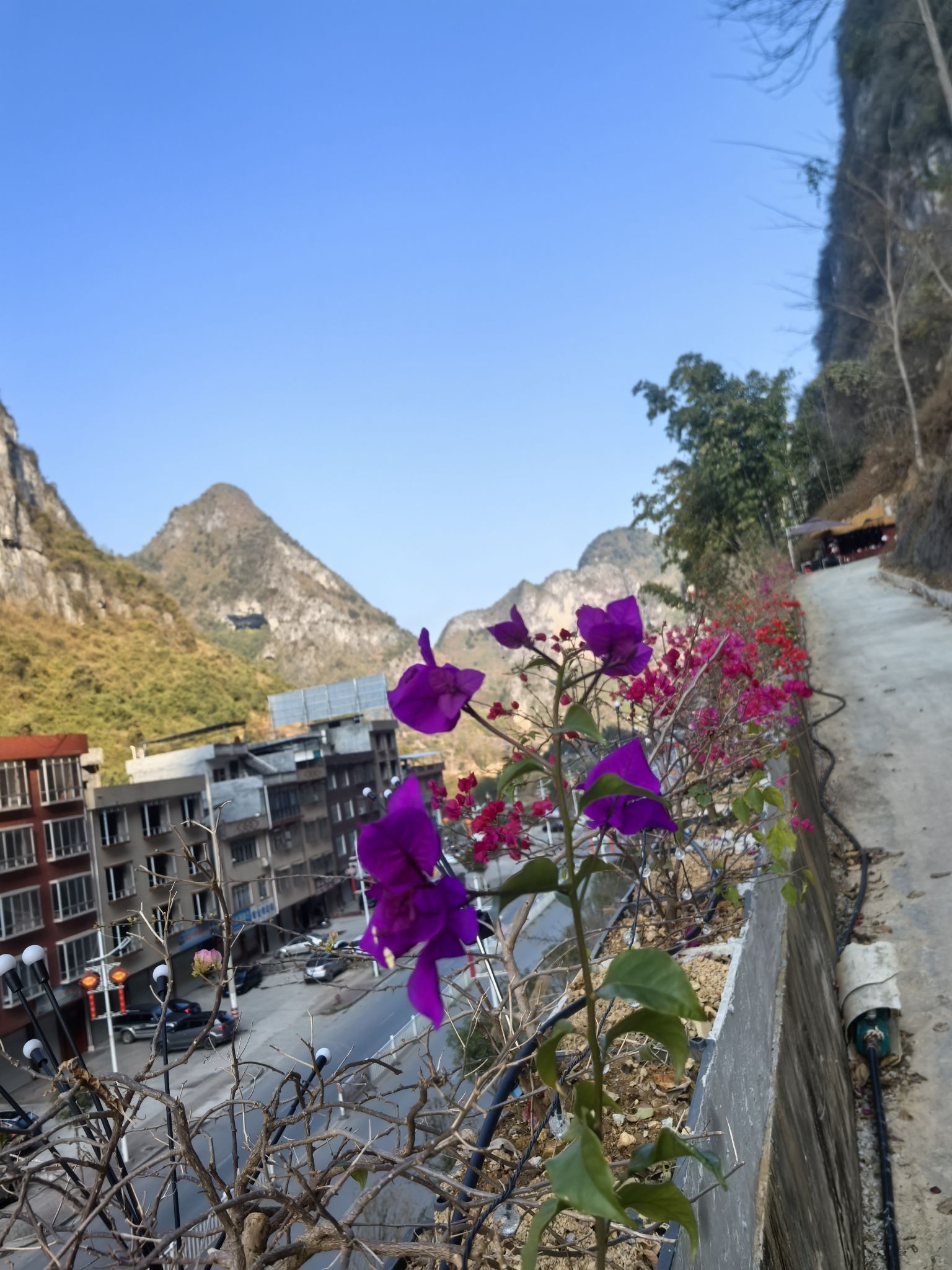 云峰十里花廊旅行图片 2
