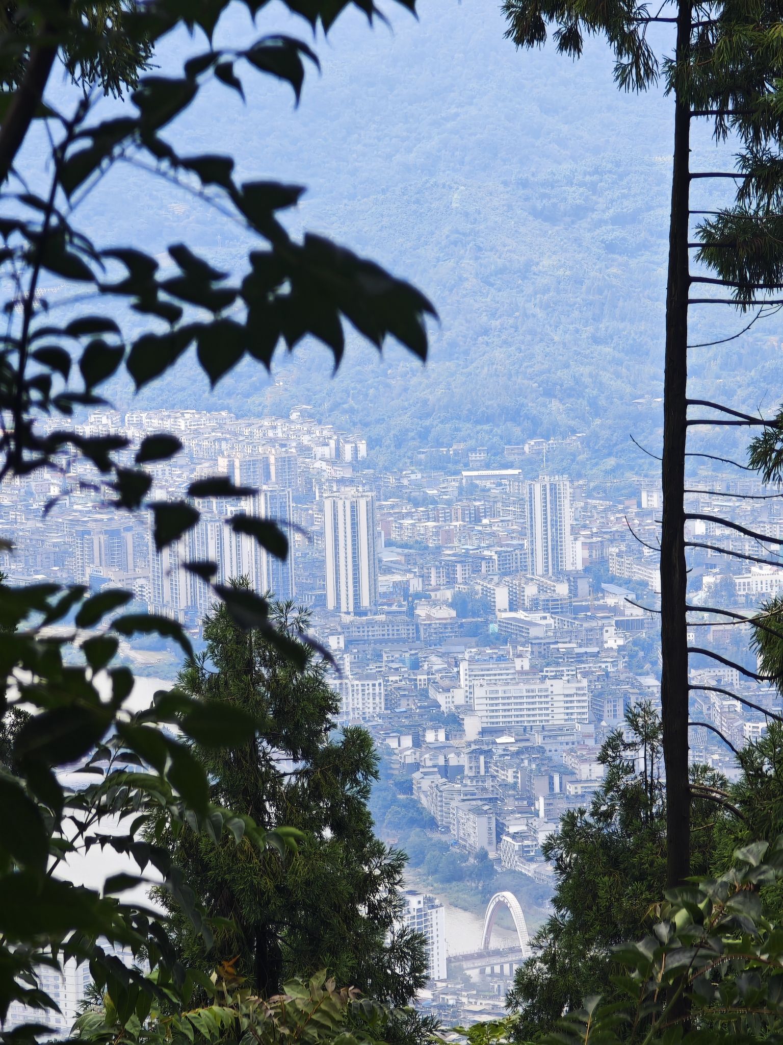周公山国家森林公园