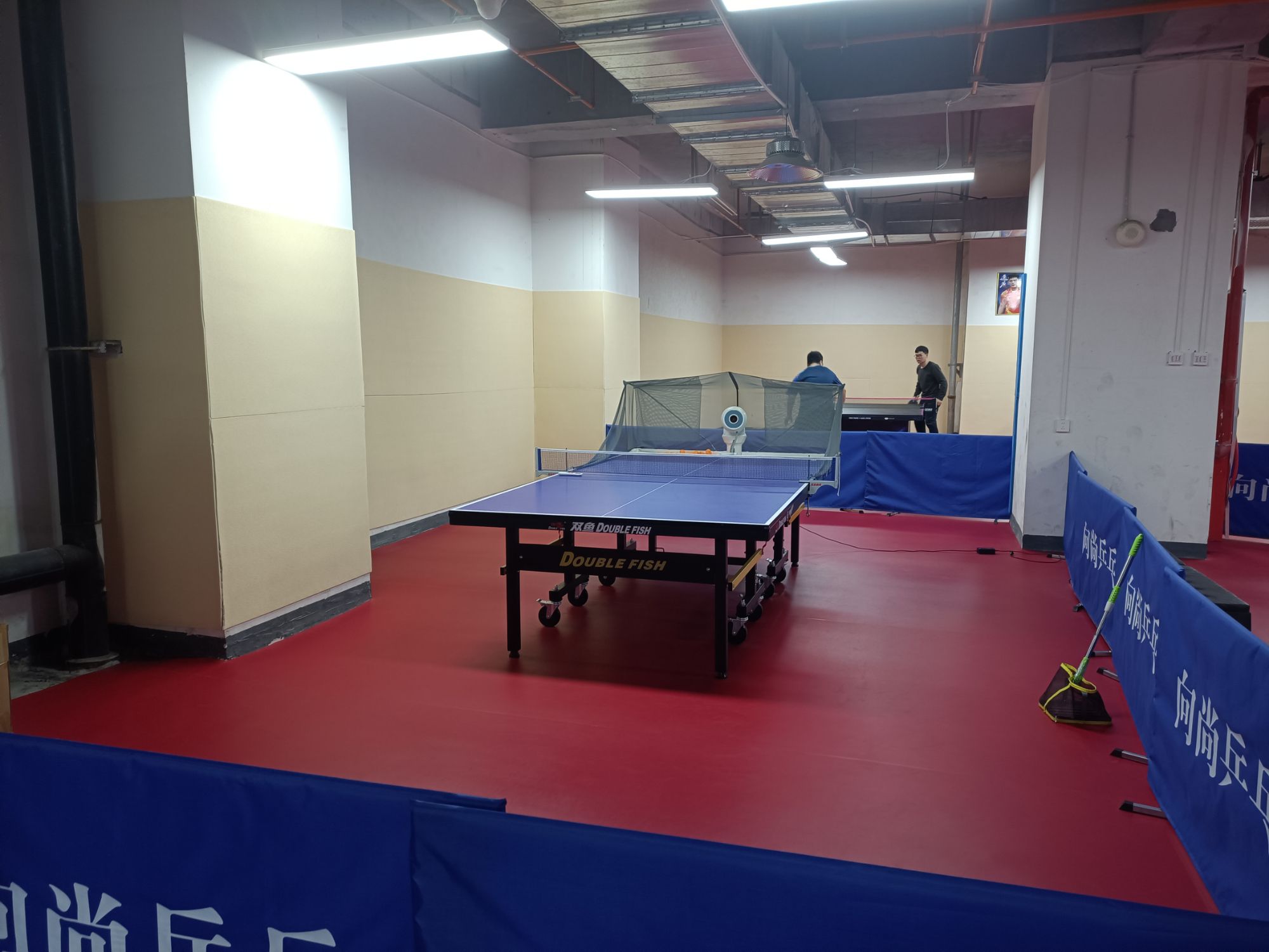 场地封面-向尚乒乓