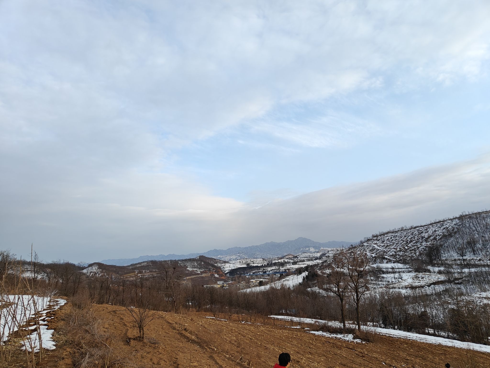 橿子树旅行图片 1