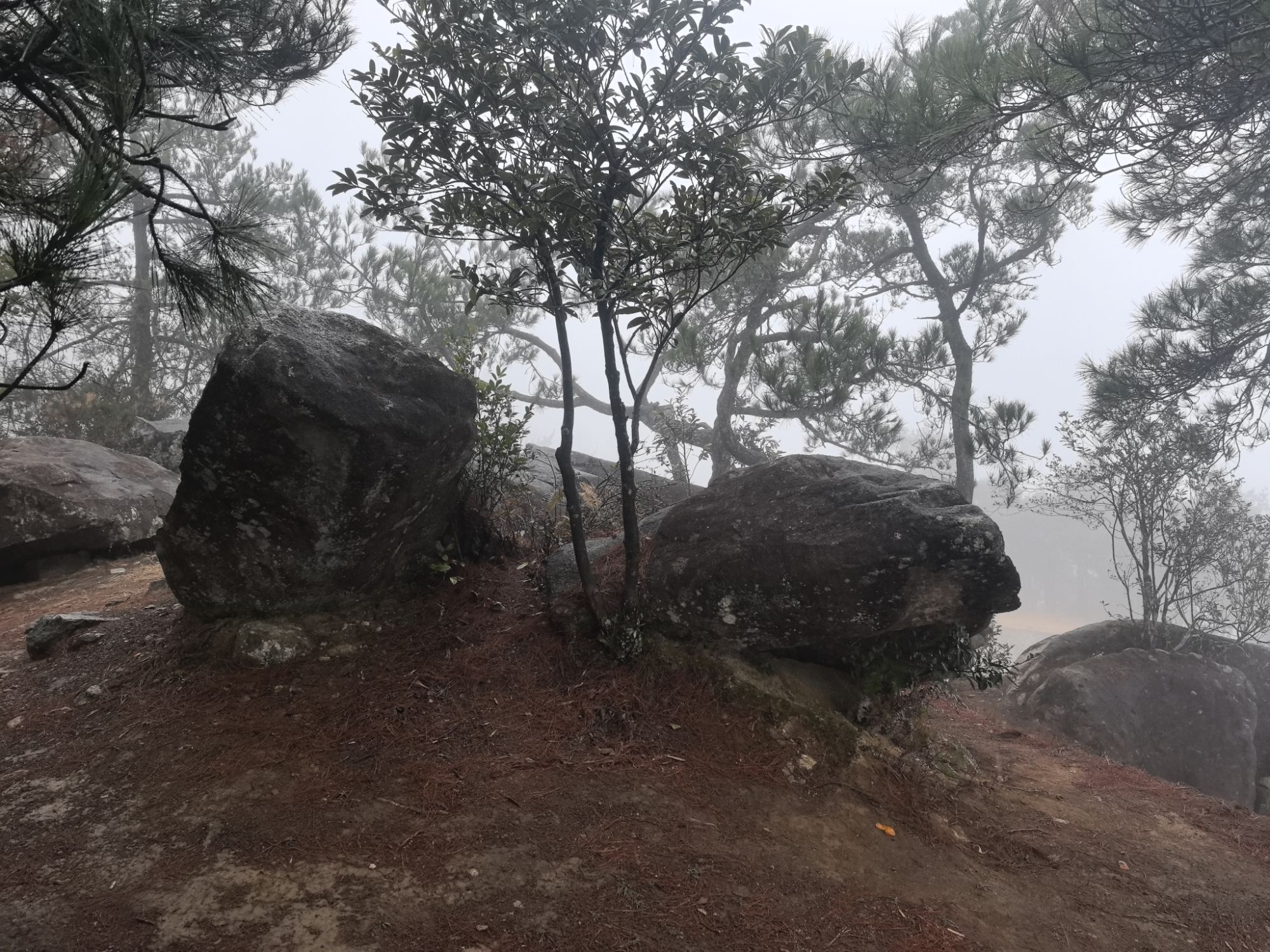 东峰胜境(石天柱)旅行图片 1
