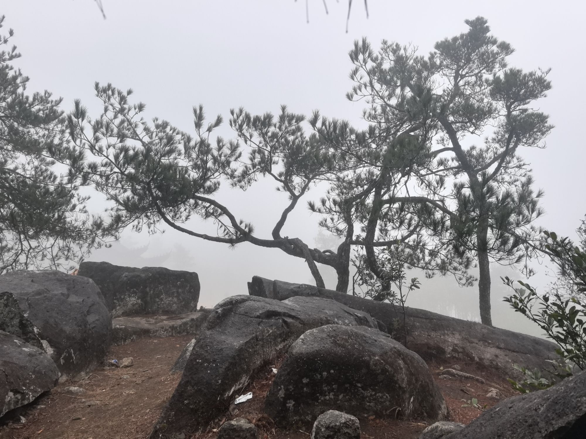 东峰胜境(石天柱)旅行图片 3