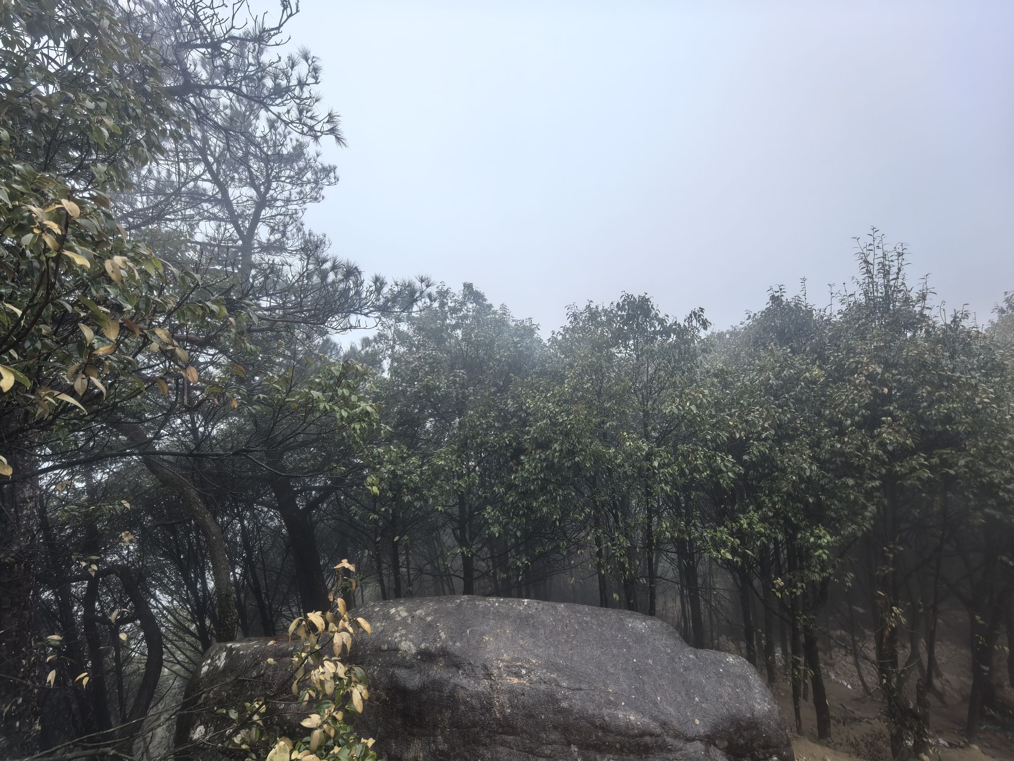 东峰胜境(石天柱)旅行图片 2