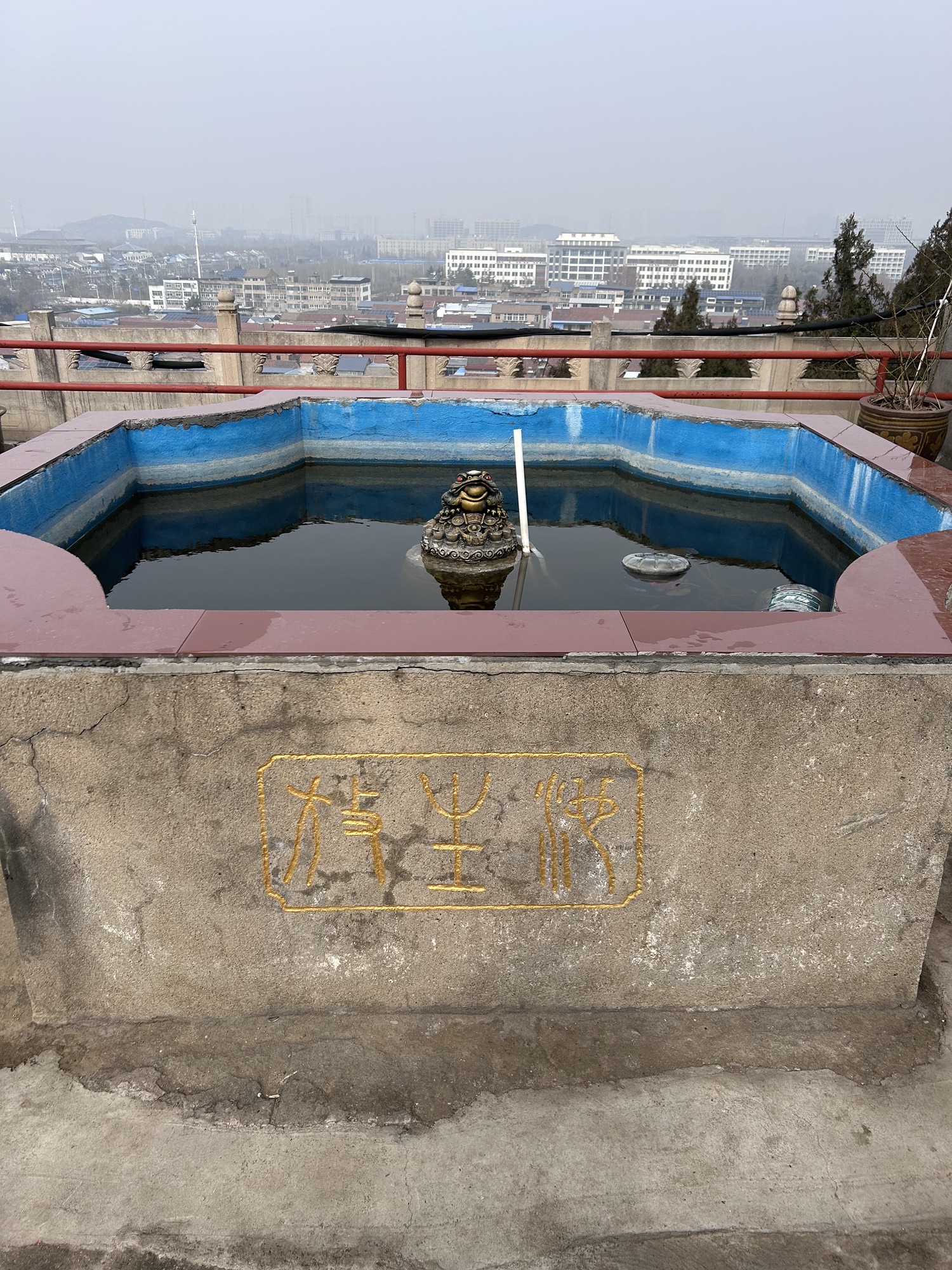 放生池旅行图片 1