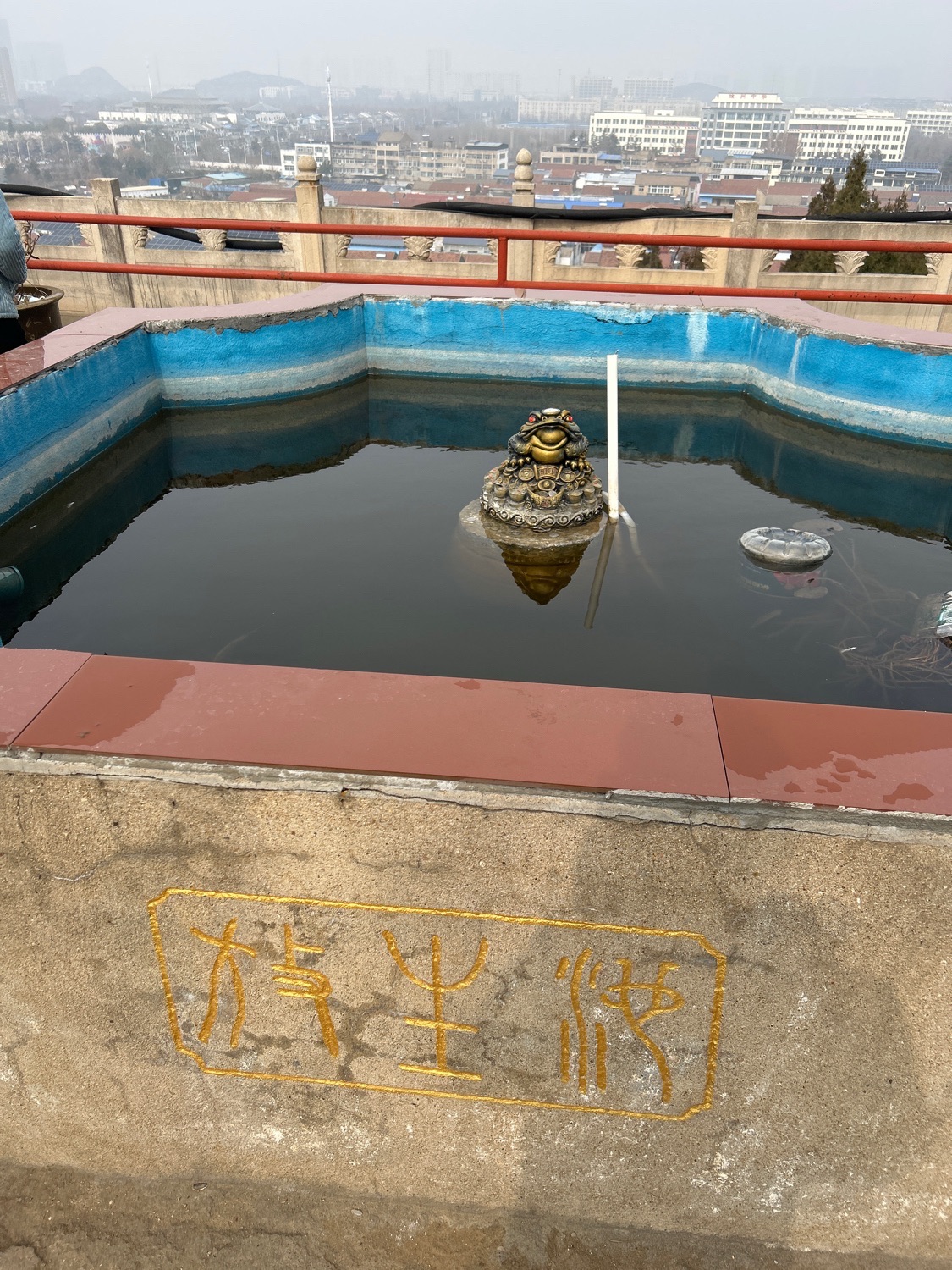 放生池旅行图片 3