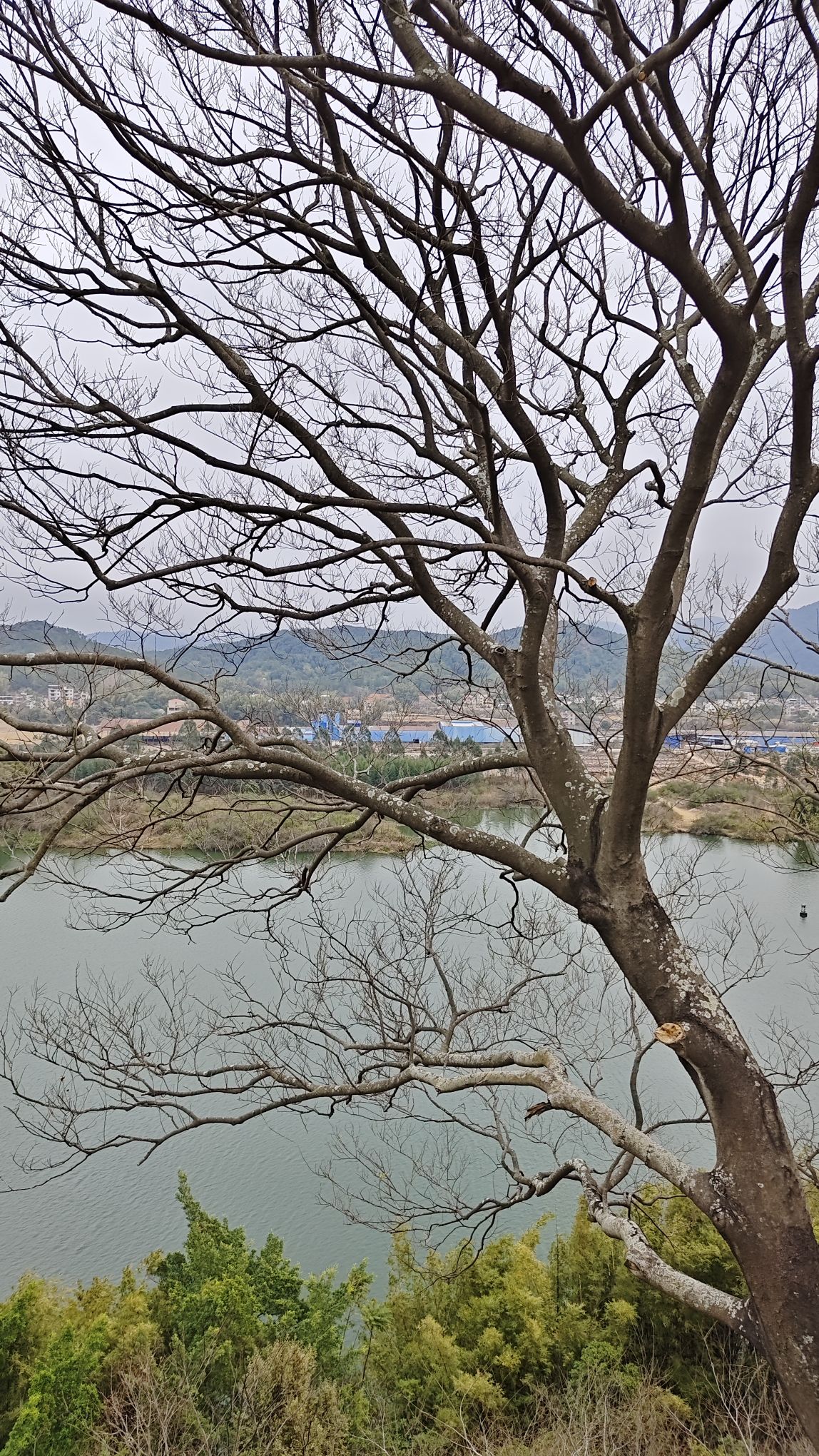 新塔旅行图片 3