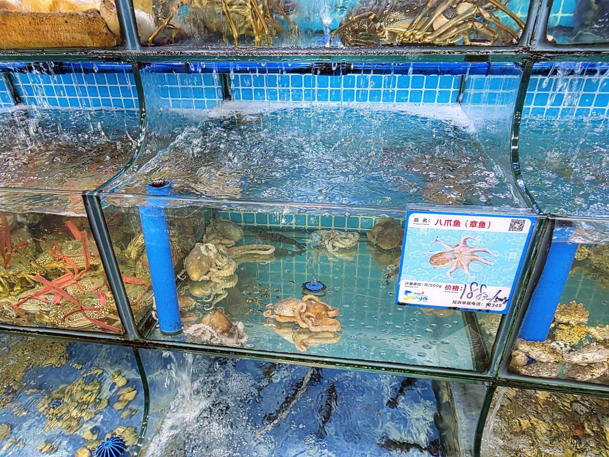 壹号渔家海鲜排档