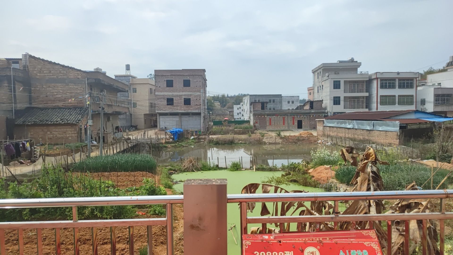 琴江村祠堂旅行图片 3