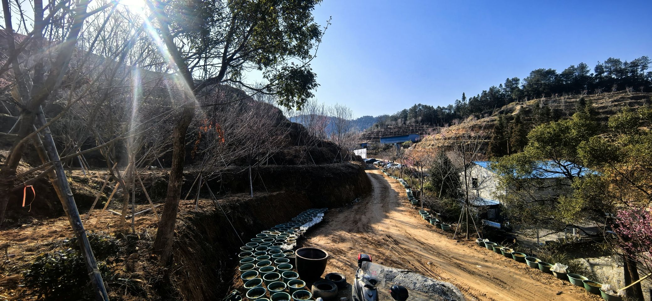 云海漫谷樱花园旅行图片 2