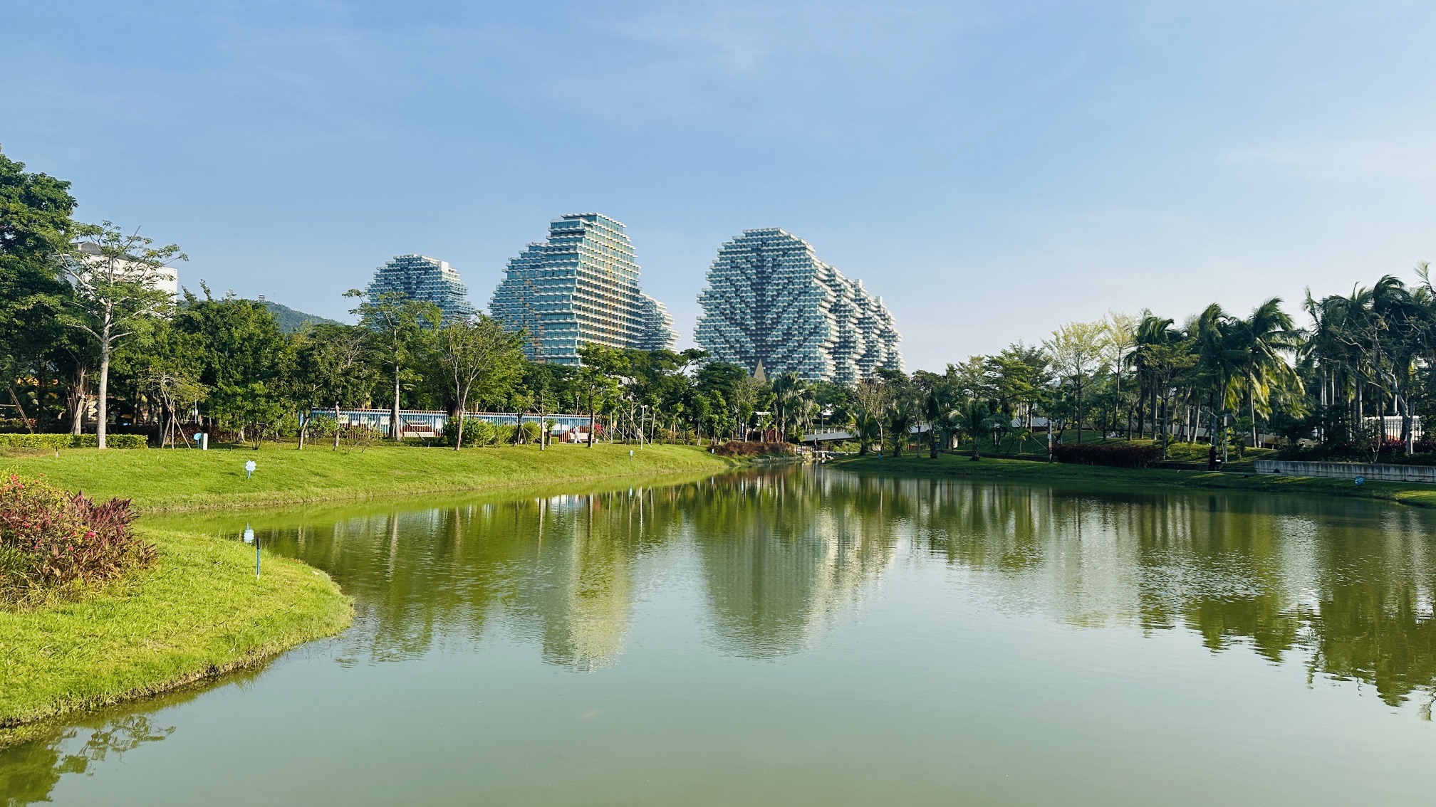 三亚河国家湿地公园百年红树林观景点