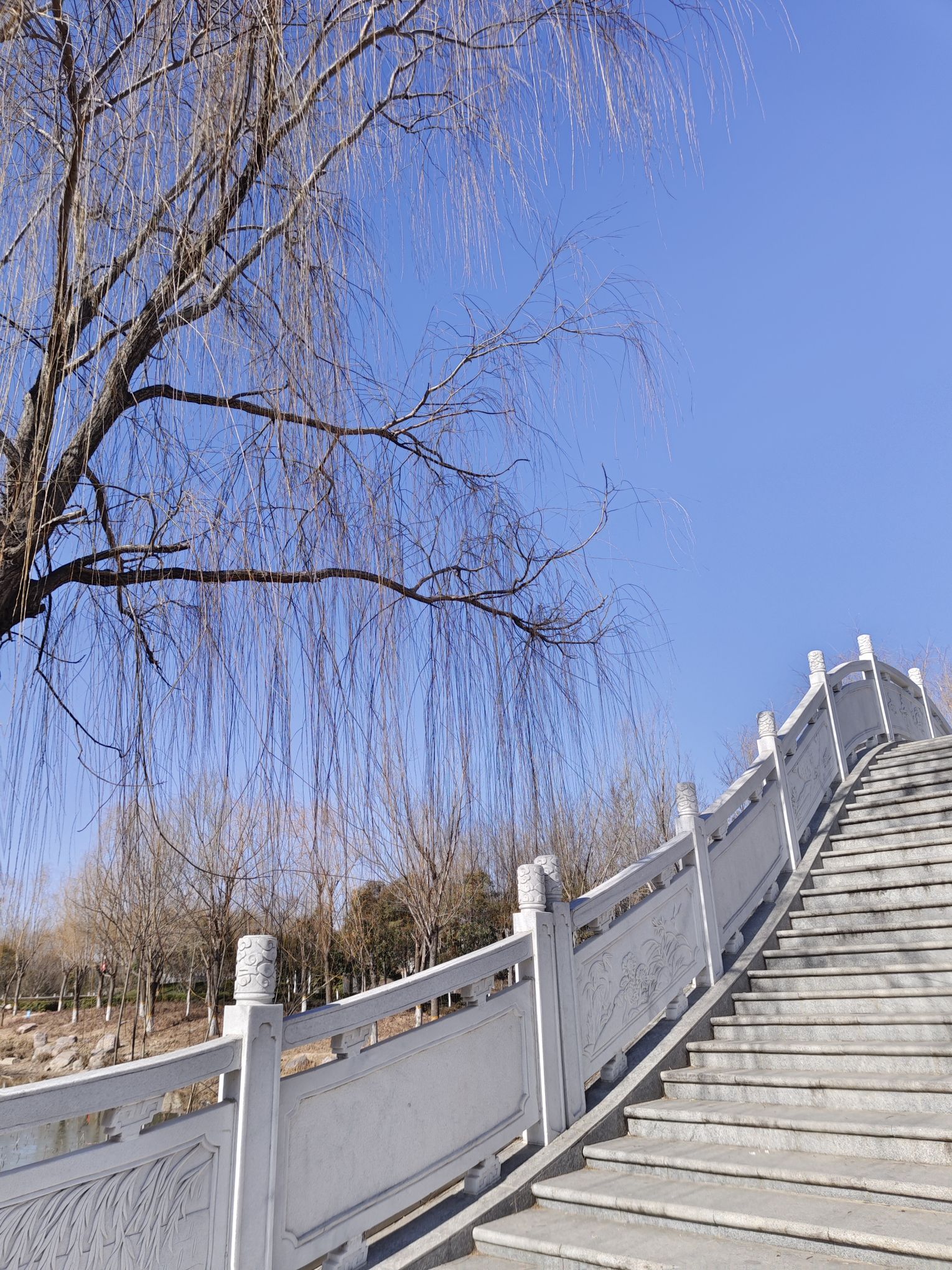 雨奇桥旅行图片 2