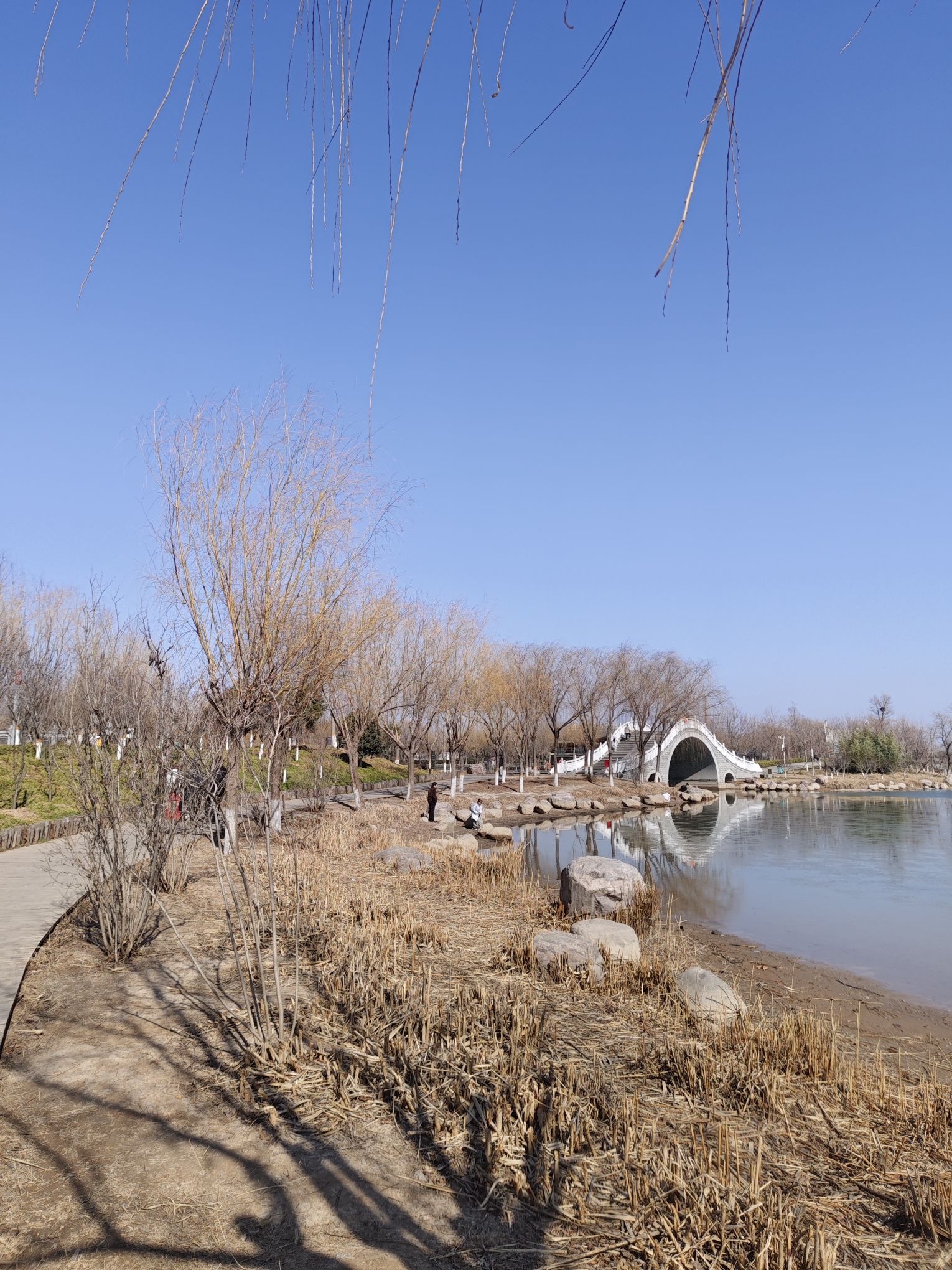 晴好桥旅行图片 1