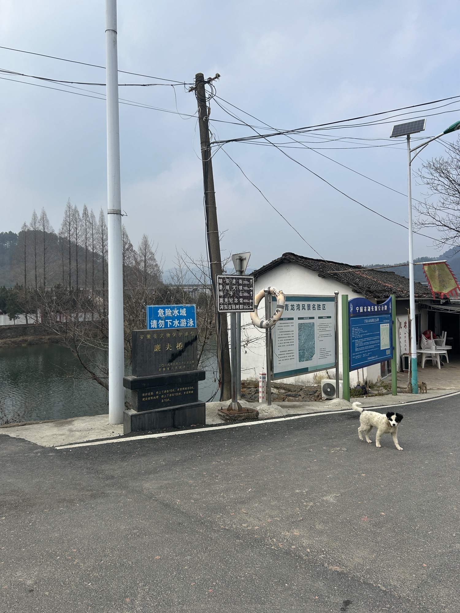 廉夫桥旅行图片 2