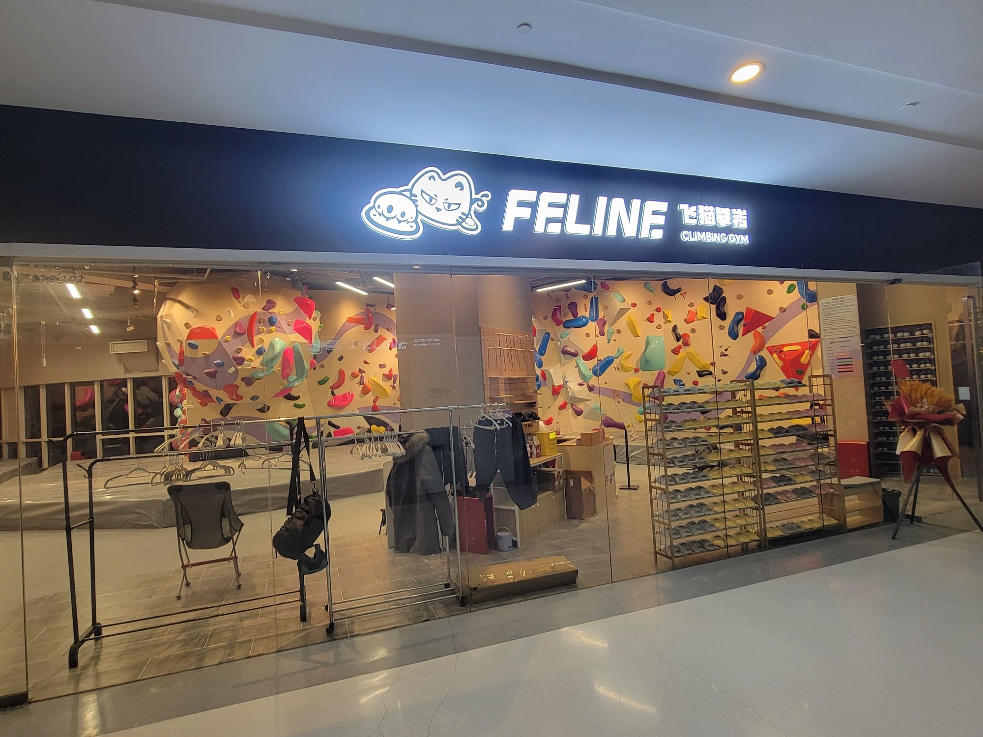 场地封面-飞猫攀岩(Feline Climbing Gym)