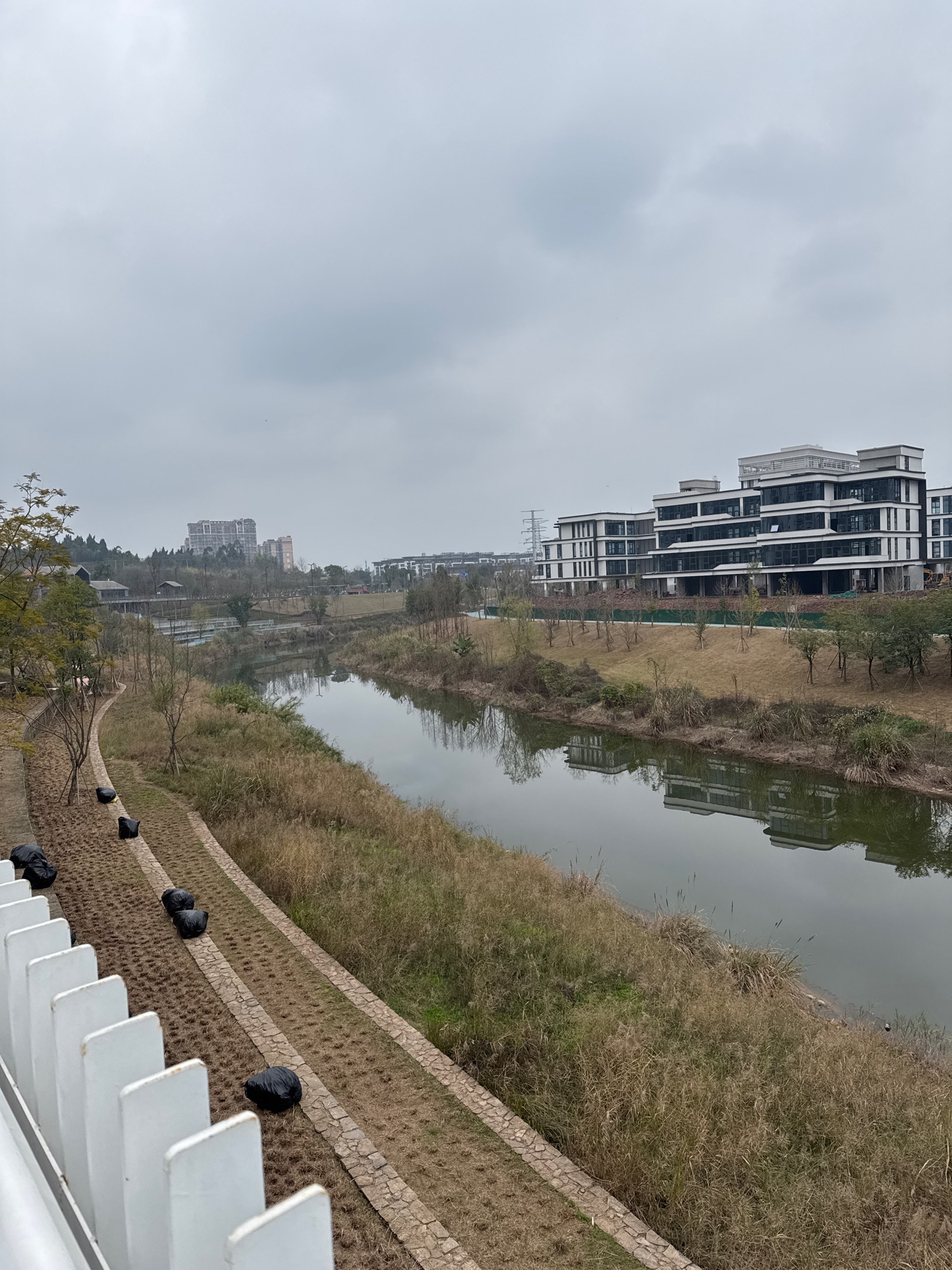 小青龙河生态廊道旅行图片 2