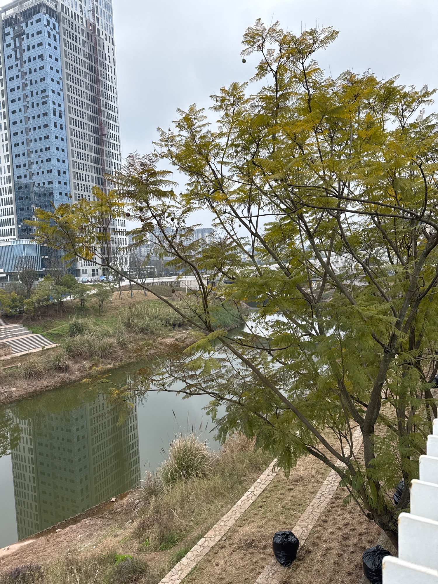 小青龙河生态廊道旅行图片 3
