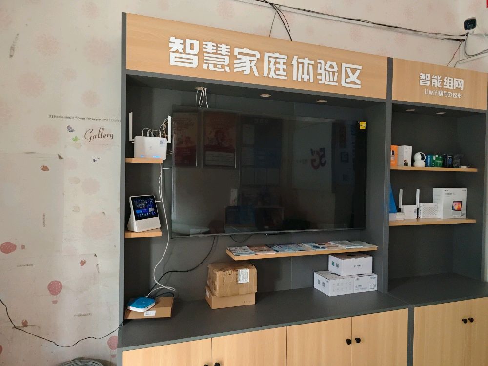 中国电信金水铭都社区店
