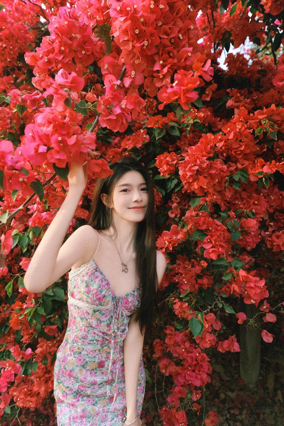 潼湖三角梅花海旅行图片 1
