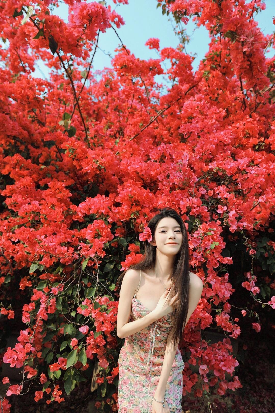 潼湖三角梅花海旅行图片 2