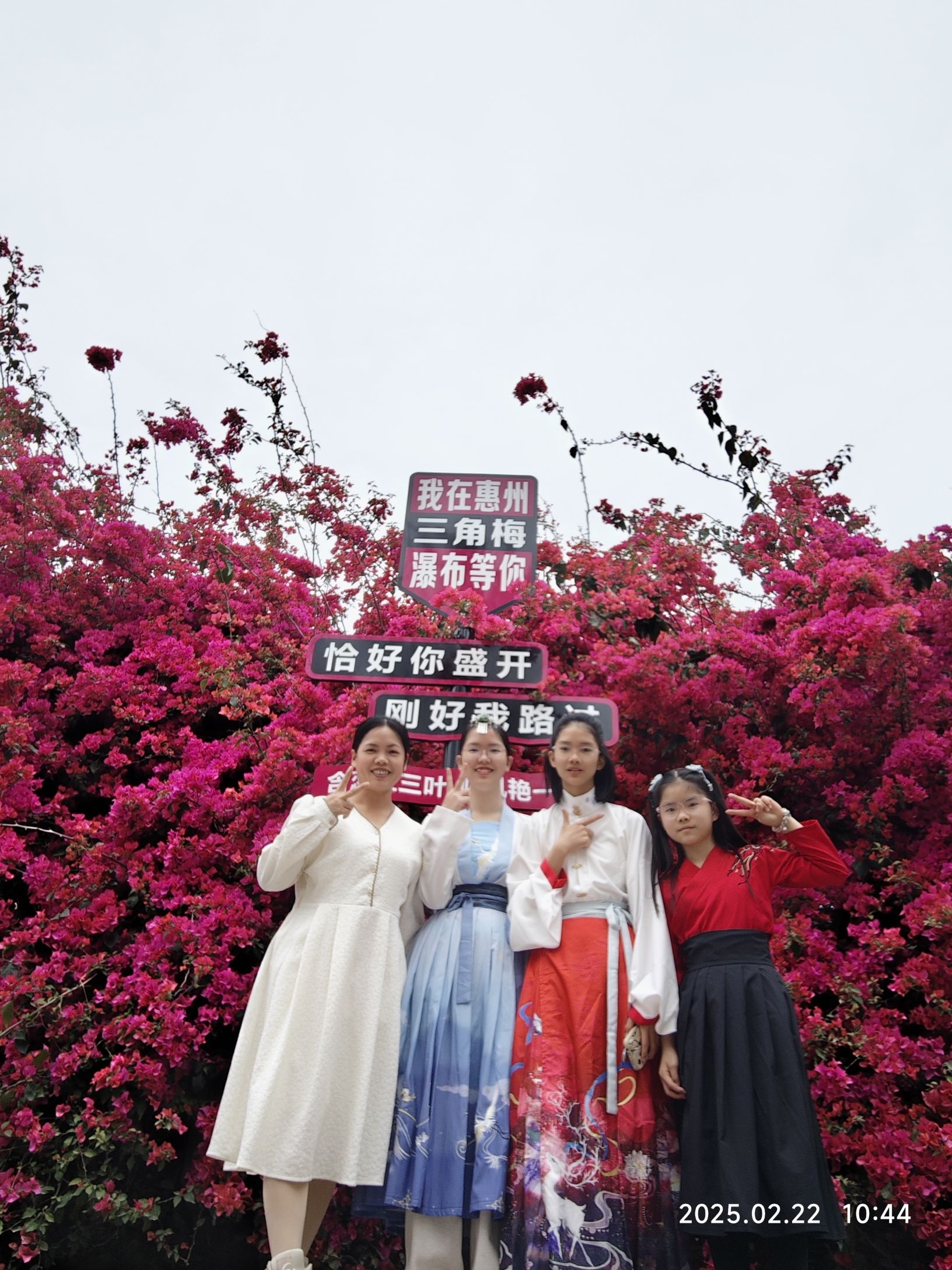 潼湖三角梅花海旅行图片 1