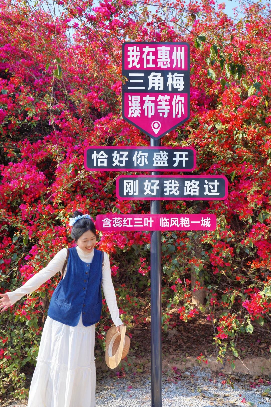 潼湖三角梅花海旅行图片 1
