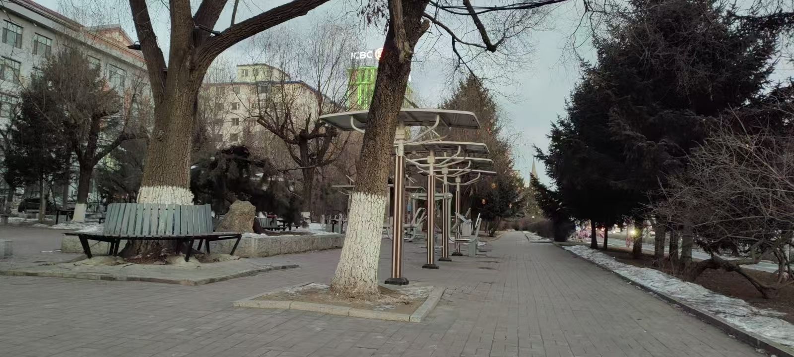 健康教育公园旅行图片 1